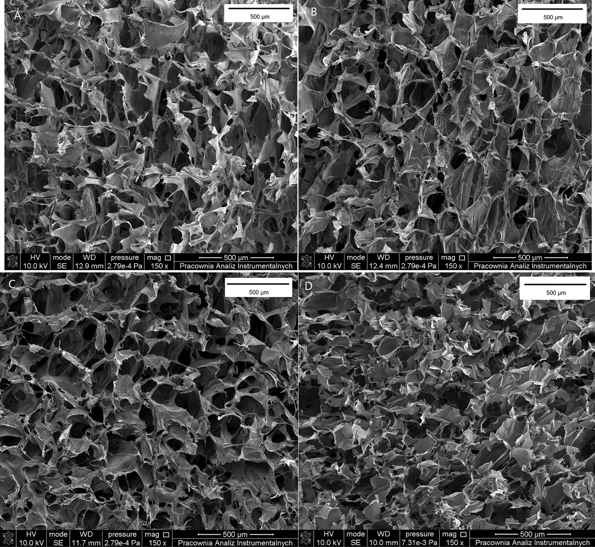 The characterization of collagen-based scaffolds modified with phenolic  acids for tissue engineering application | Scientific Reports