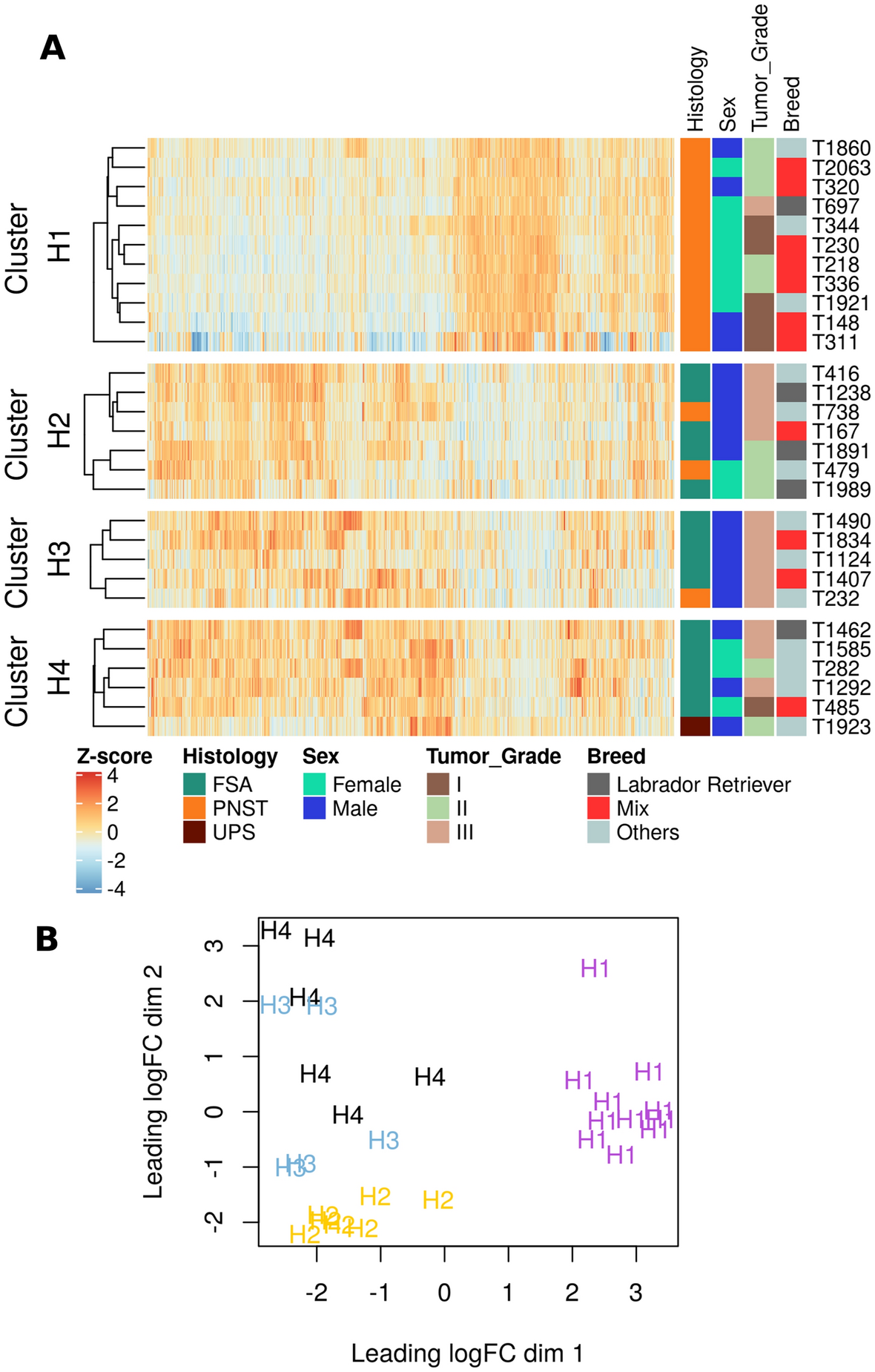Integrated analysis of canine soft tissue sarcomas identifies recurrent  mutations in TP53, KMT genes and PDGFB fusions | Scientific Reports