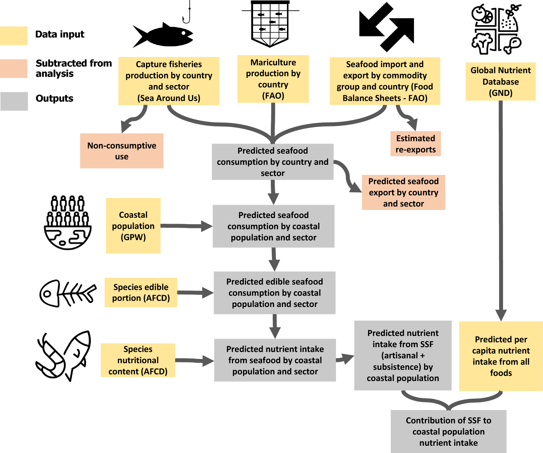 Nutrient supply from marine small-scale fisheries