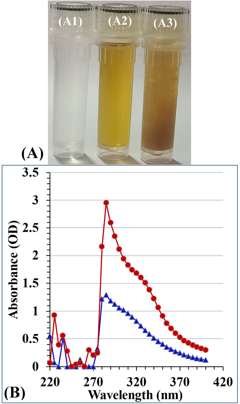 Green fabrication of chitosan nanoparticles using Lavendula angustifolia,  optimization, characterization and in‑vitro antibiofilm activity |  Scientific Reports