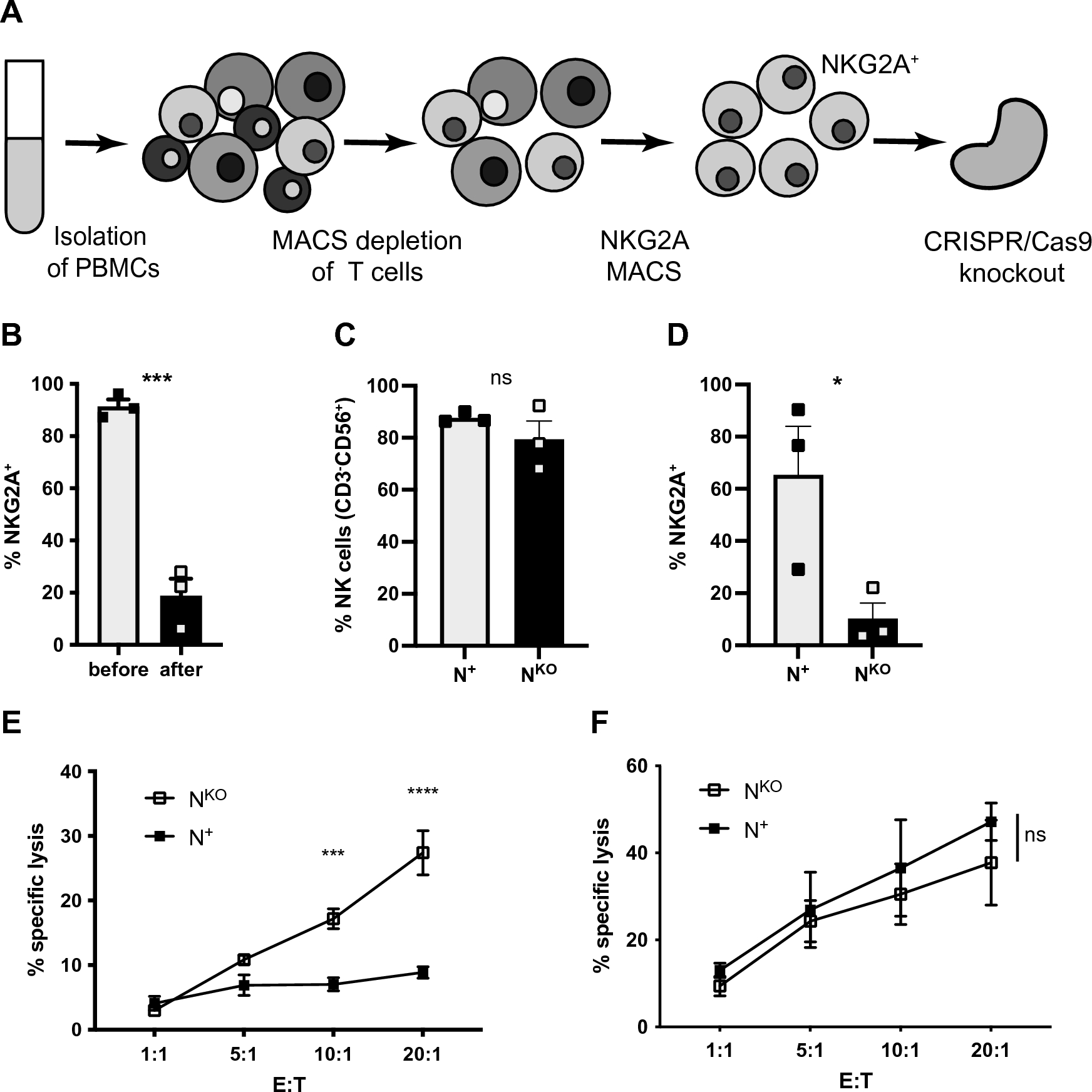 The NK cell checkpoint NKG2A maintains expansion capacity of human NK cells