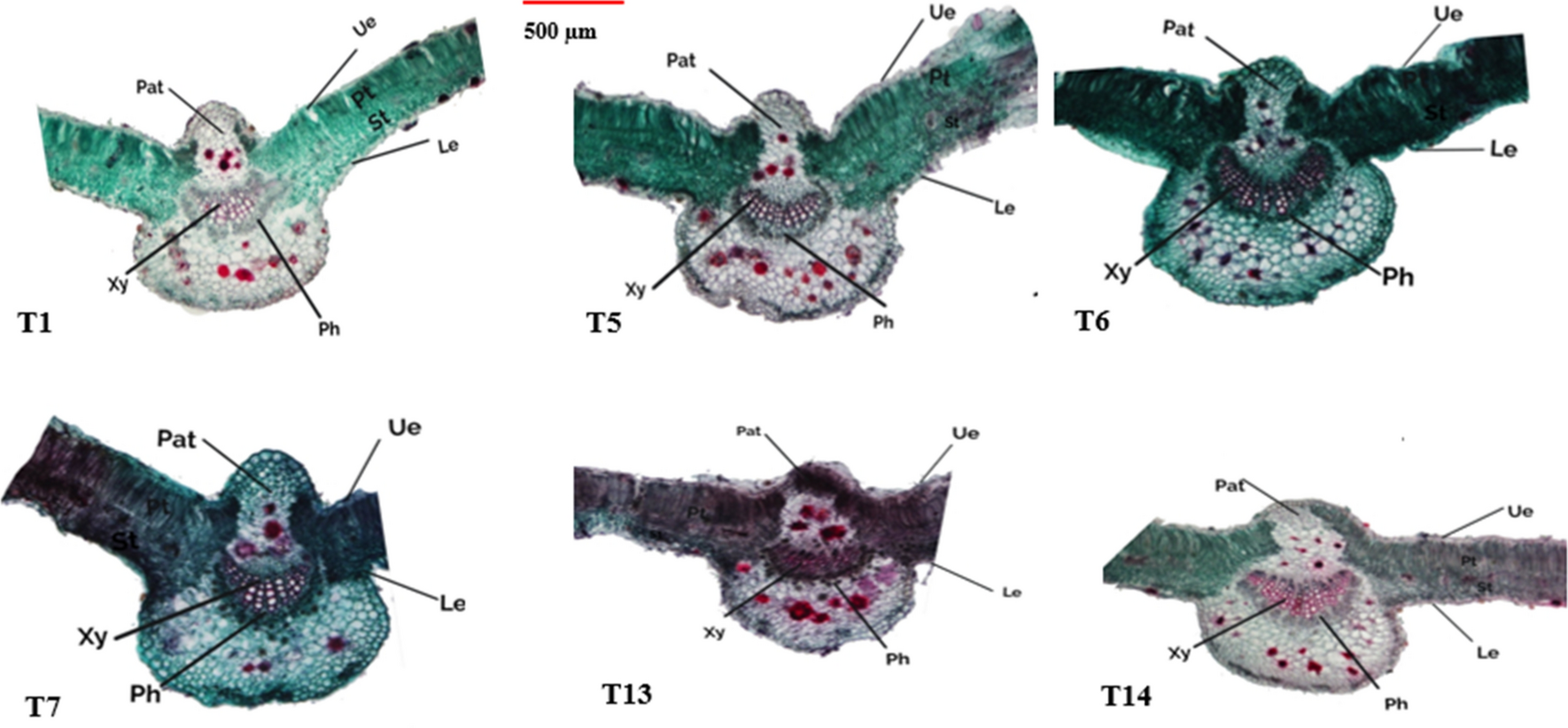 Figure 7