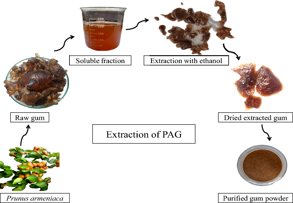 Effect of coriander extract (CE) and cress seed gum (CSG