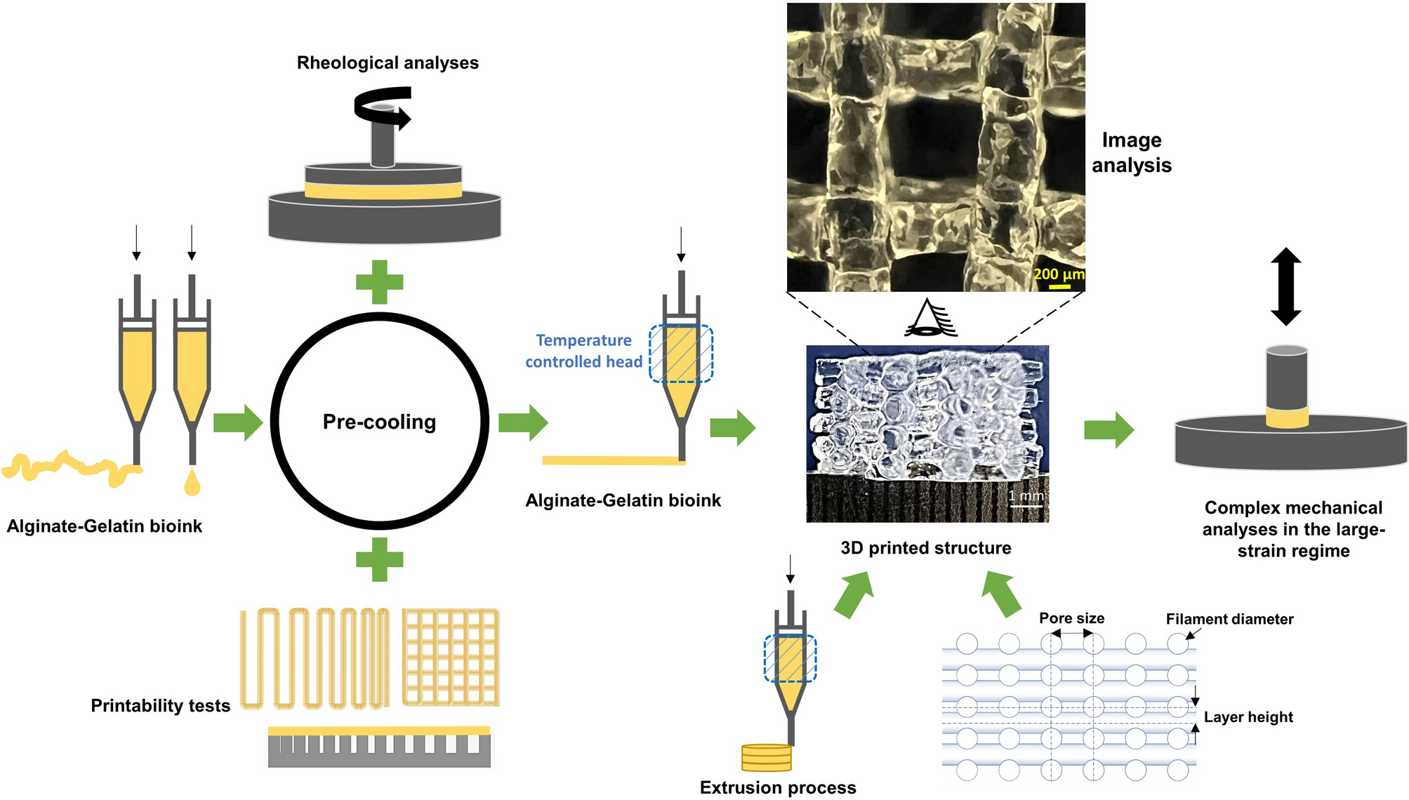 Multilayer 3D bioprinting and complex mechanical properties of alginate- gelatin mesostructures