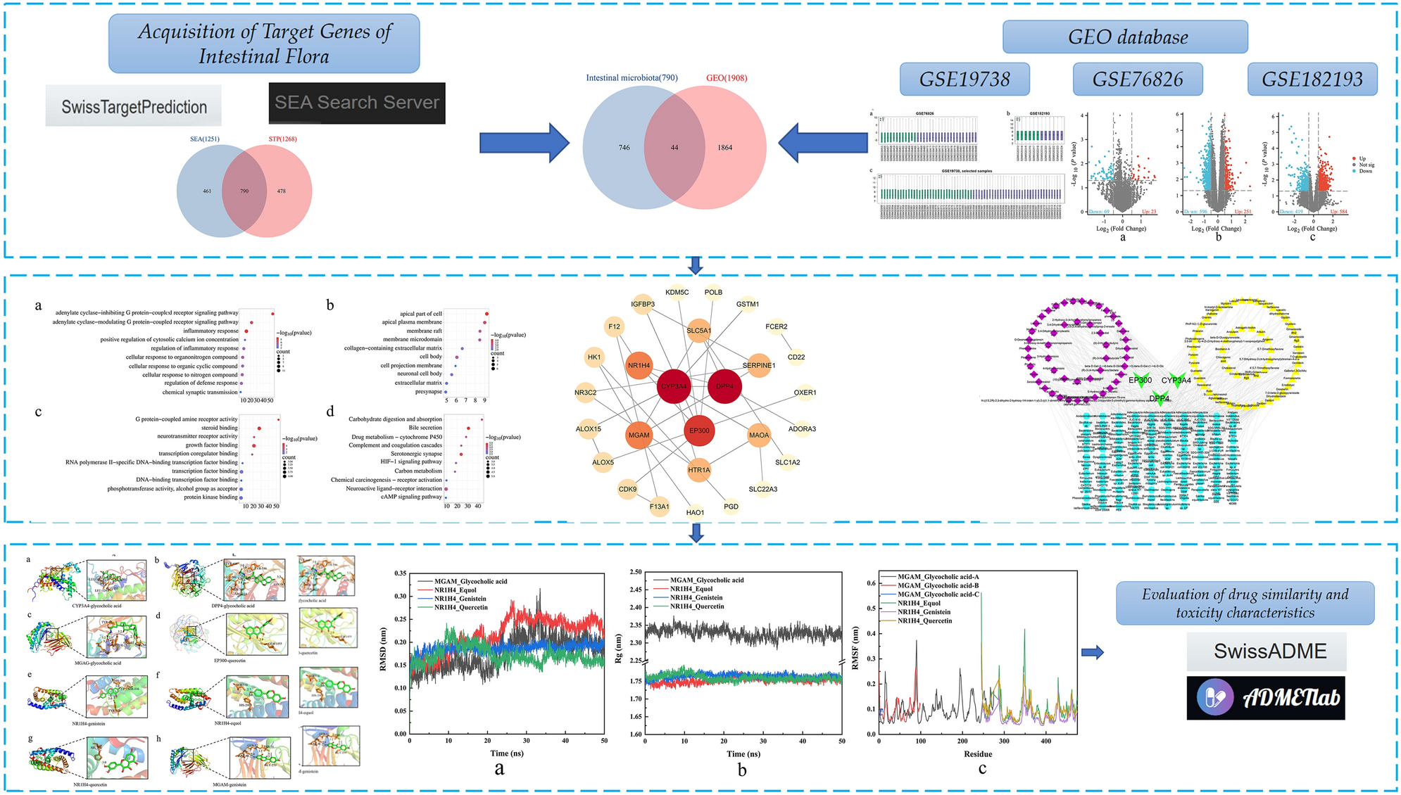 Systems biology approaches to identify potential targets and inhibitors of  the intestinal microbiota to treat depression | Scientific Reports