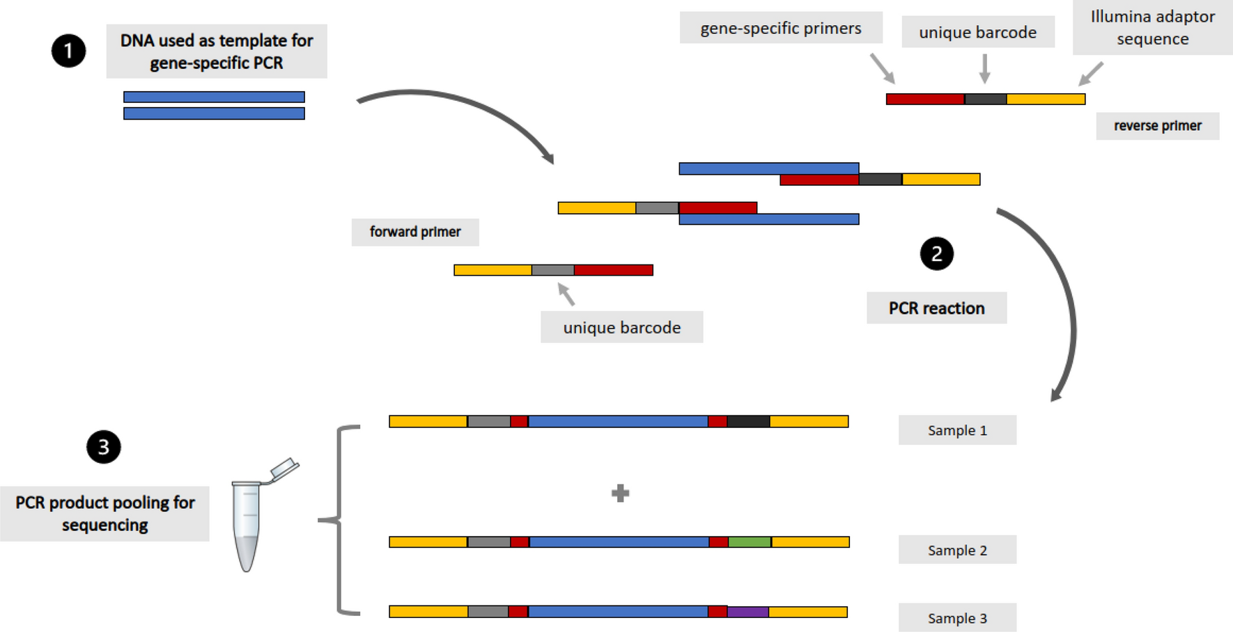 Prevalence of molecular markers of resistance to sulfadoxine