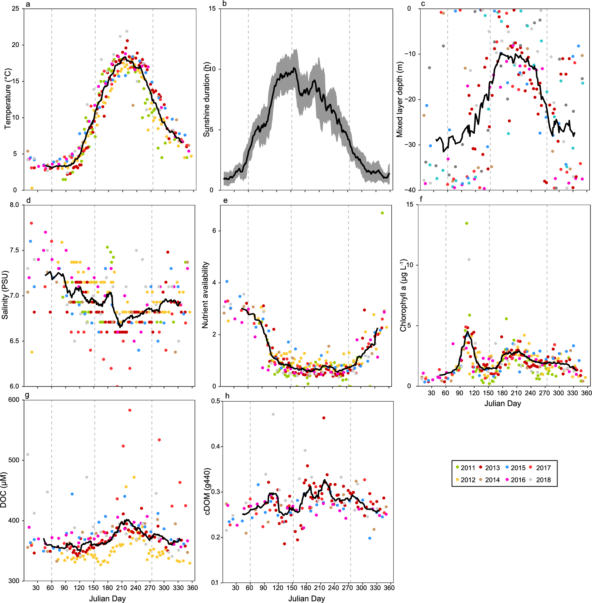 Small eddies play a big role in feeding ocean microbes, MIT News