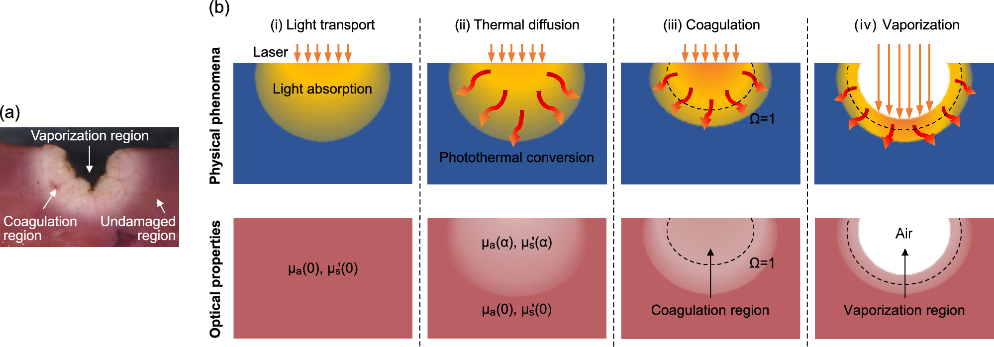 Infrared Laser Ablation Microsampling with a Reflective Objective