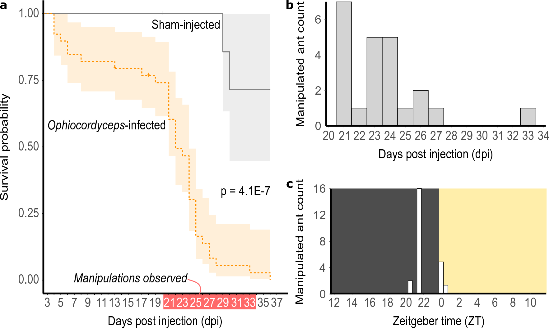 Metabolite Toxicity as a Driver of Aging and Disease — THE HUGHES LAB