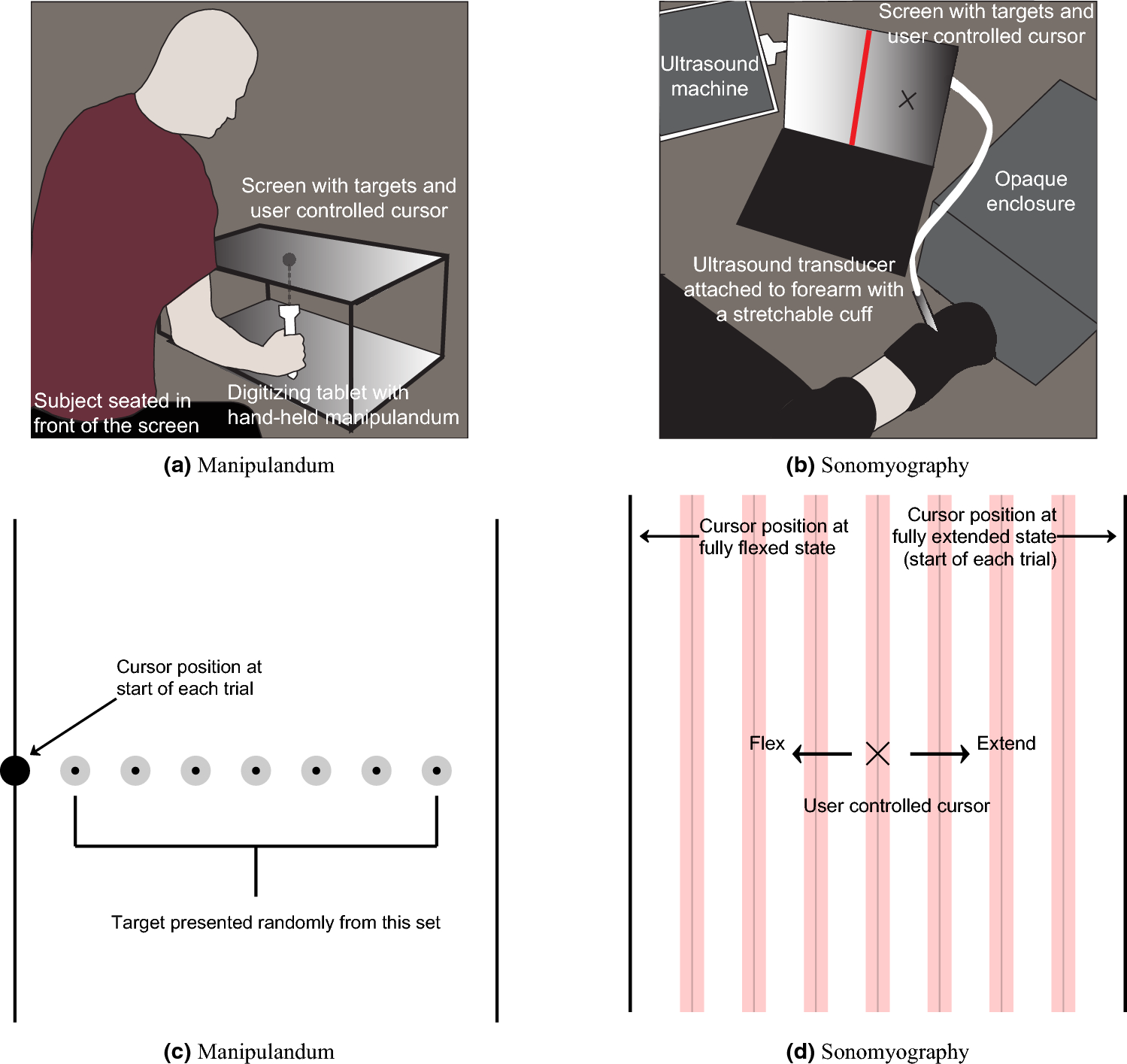 Using principles of motor of to | Scientific Reports interfaces machine human control analyze performance