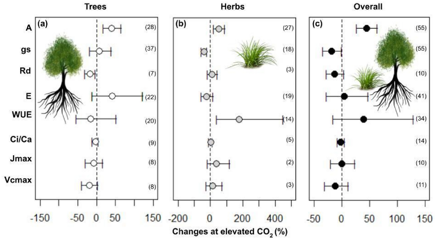 Meta-analysis of the responses of tree and herb to elevated CO2 in Brazil |  Scientific Reports