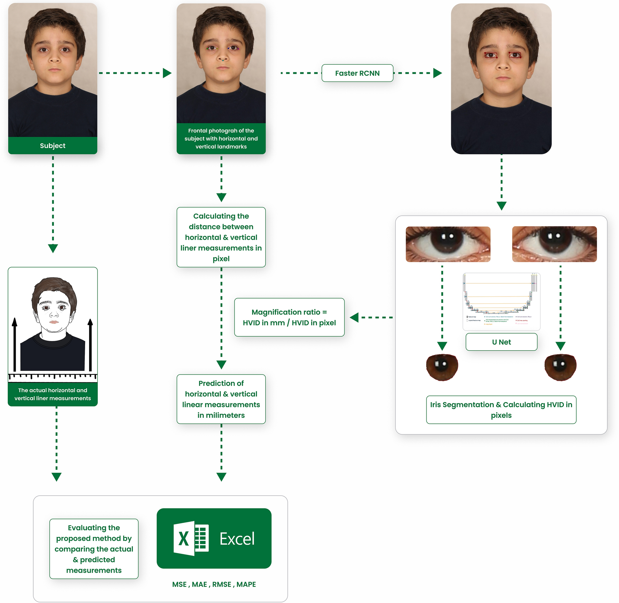 A deep learning framework to scale linear facial measurements to actual  size using horizontal visible iris diameter: a study on an Iranian  population | Scientific Reports
