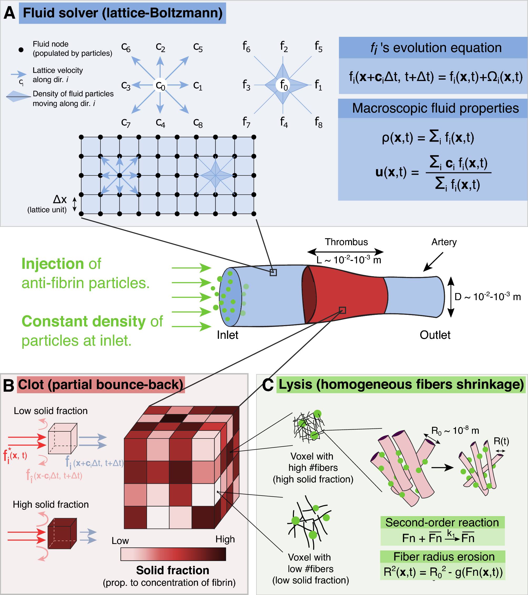 A simplified mesoscale 3D model for characterizing fibrinolysis 