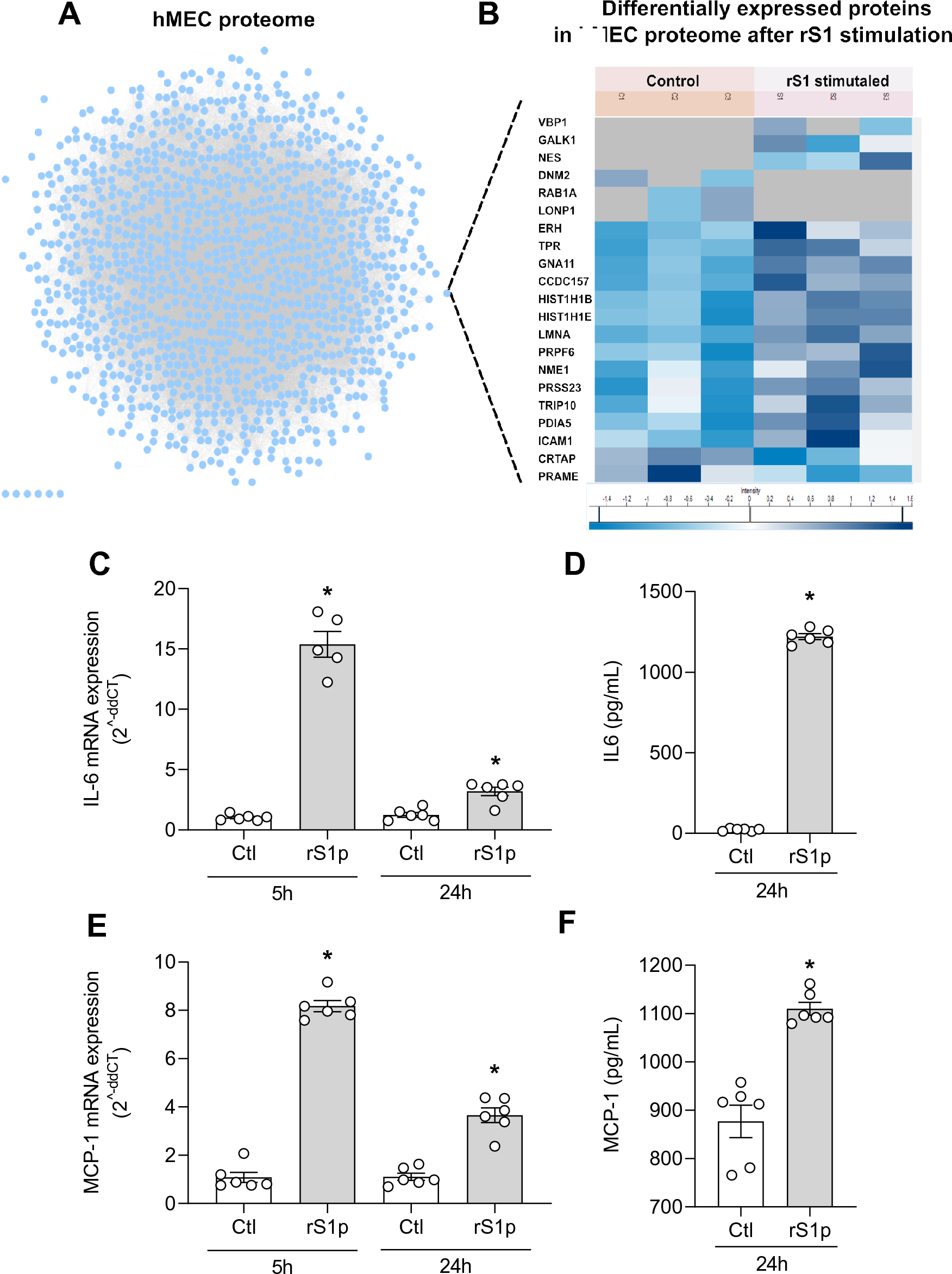 Endothelial cell infection and endotheliitis in COVID-19 - The Lancet