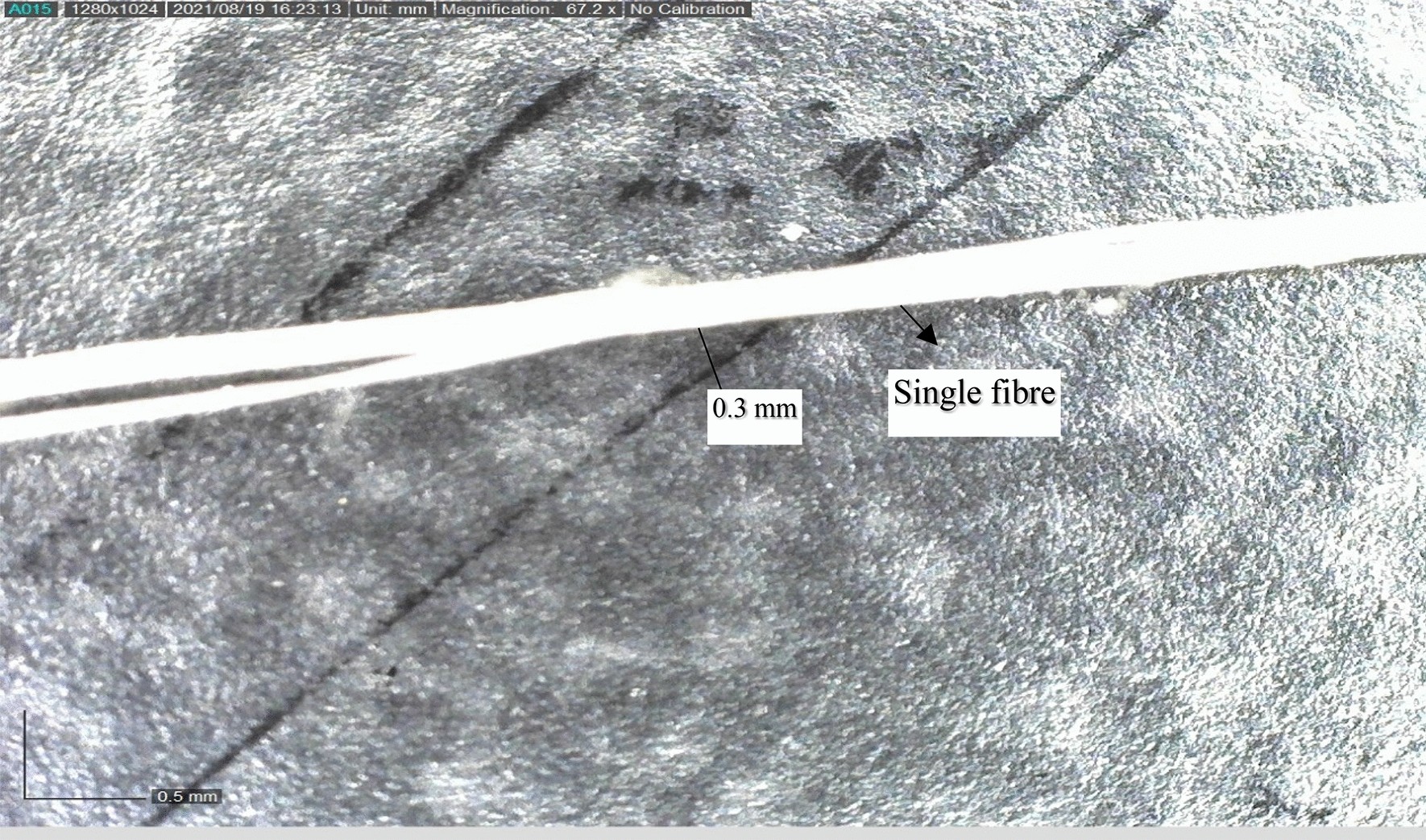 Scientists developing bio-based carbon fibres being showered with requests