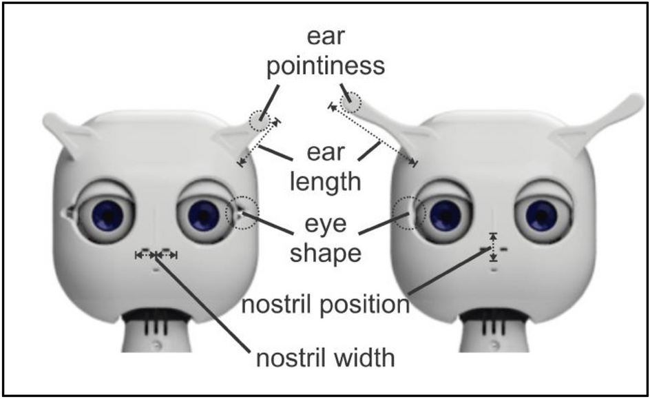 Perceptual discrimination in the face perception of robots is attenuated  compared to humans