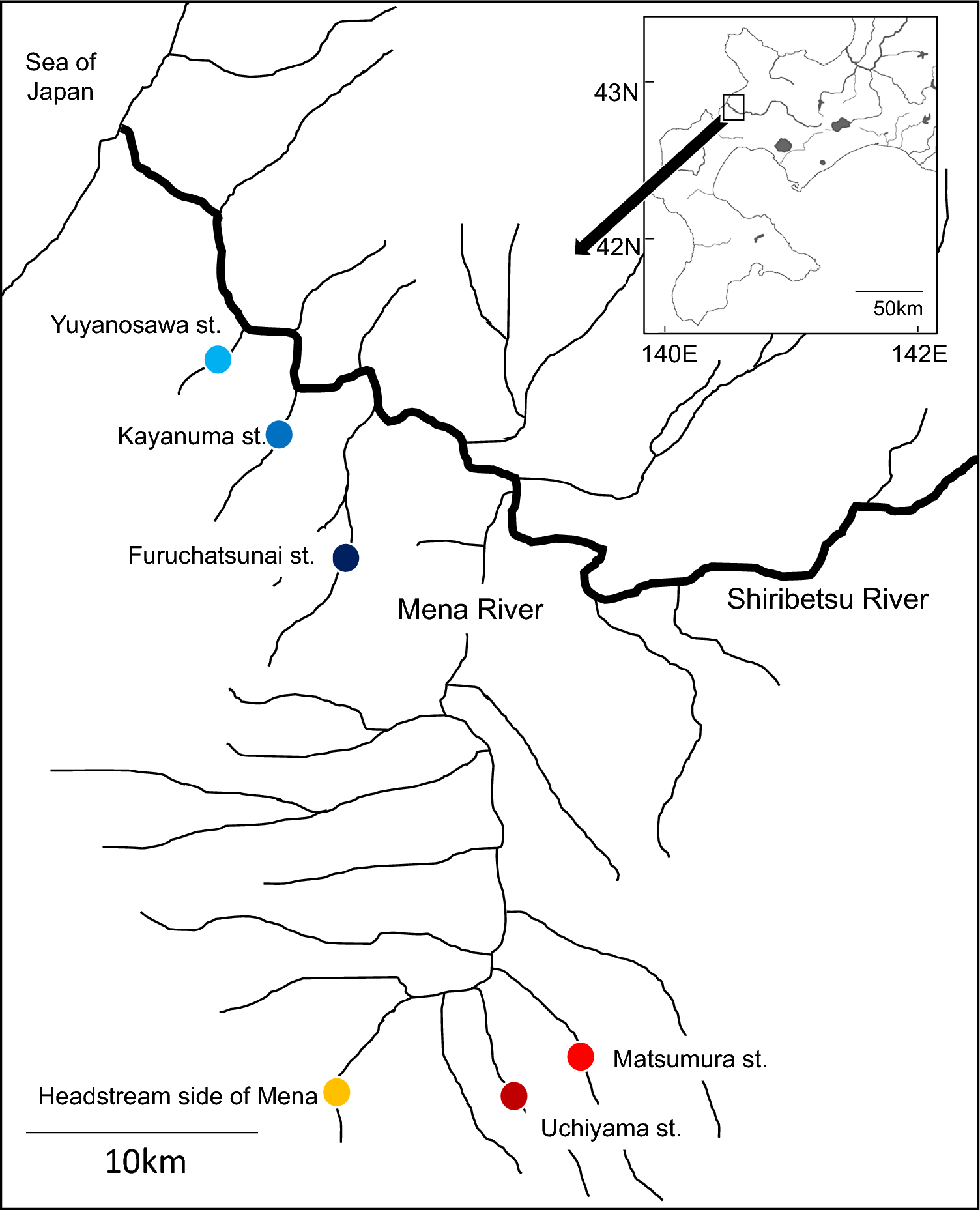 Intentional release of native species undermines ecological stability