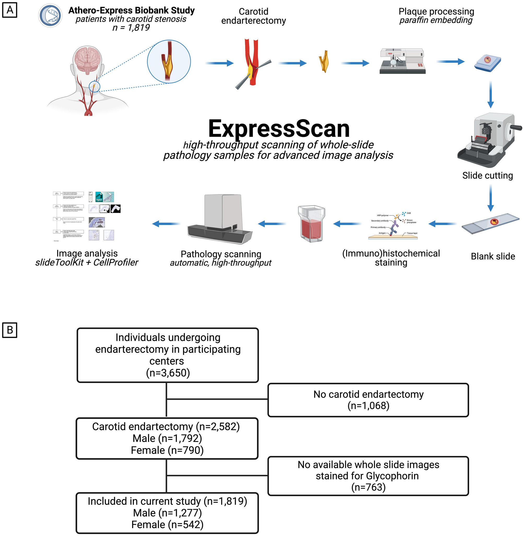 False-bans triggered from automatic script-scanning - Bulletin