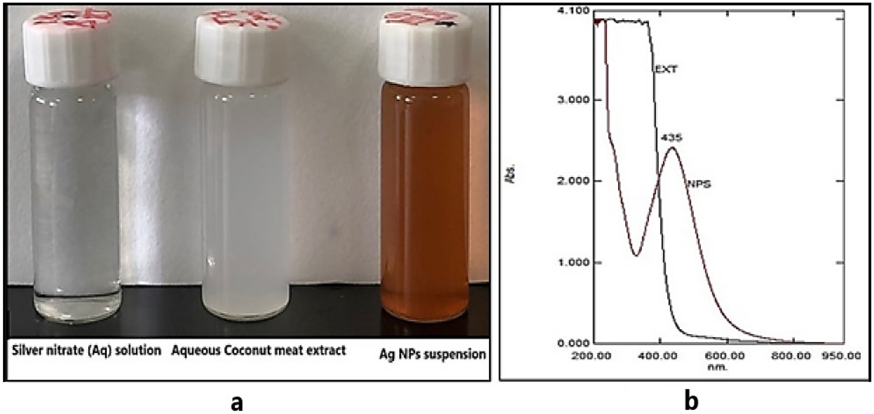 SOLVED: Text: Precipitation (Coagulation) of Egg Albumin Heat Egg albumin  solution before heating Solution after heating What change occurred? Strong  Acids Heller Ring Test Appearance at juncture of liquids Alkaloids  Observations Tannic