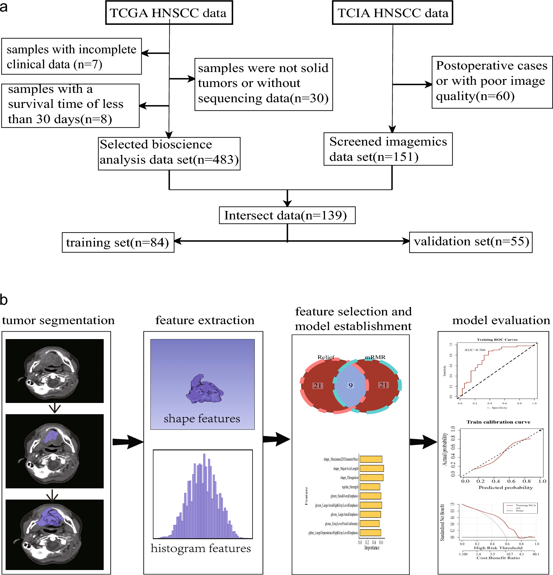 https://media.springernature.com/full/springer-static/image/art%3A10.1038%2Fs41598-023-43582-0/MediaObjects/41598_2023_43582_Fig1_HTML.png