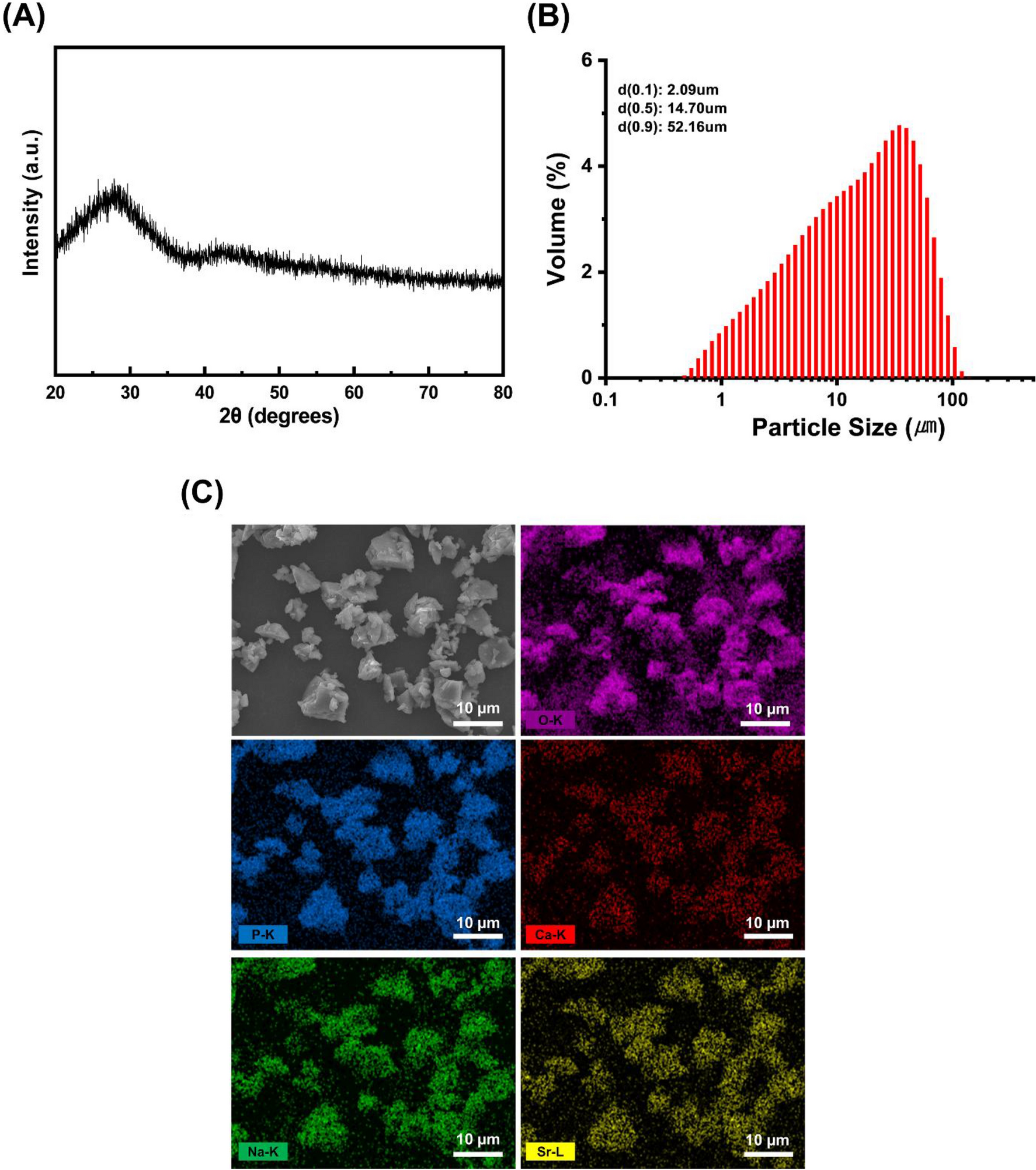 Figure 2 from Light-curing considerations for resin-based