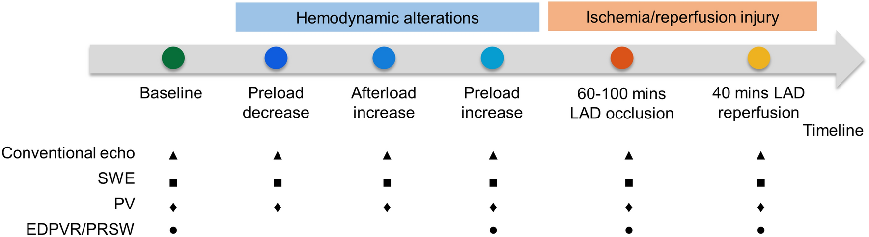 Continuous shear wave measurements for dynamic cardiac stiffness evaluation  in pigs | Scientific Reports