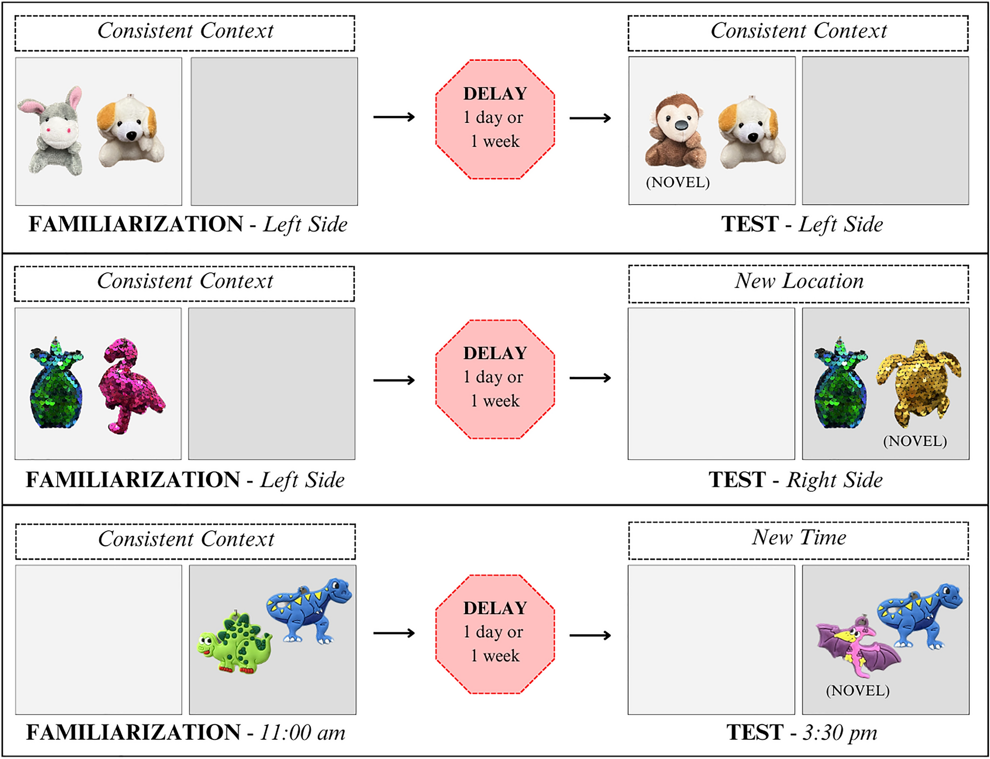 Ditto Evolution Line, Project: Advanced