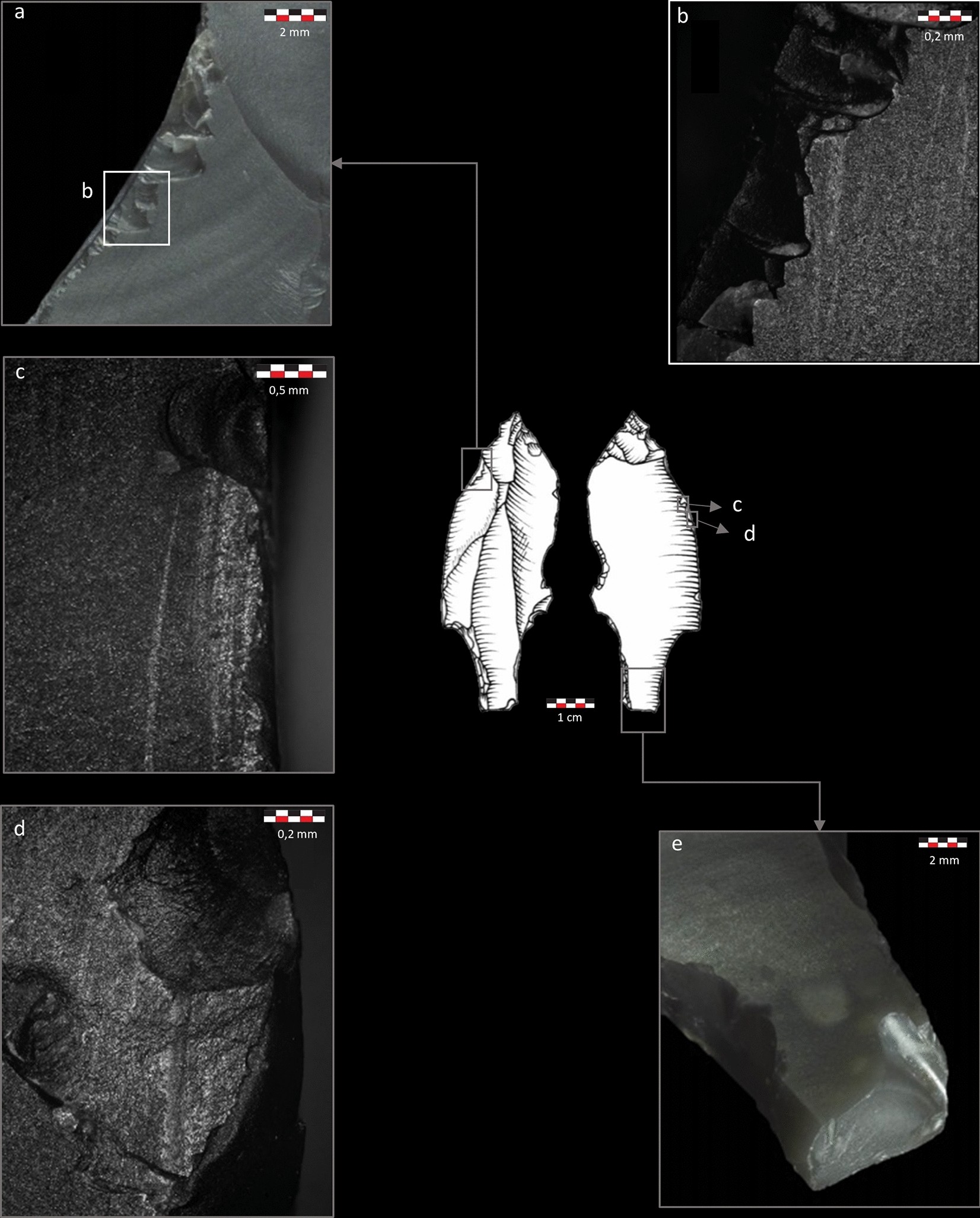 Terminal ballistic analysis of impact fractures reveals the use of  spearthrower 31 ky ago at Maisières-Canal, Belgium | Scientific Reports