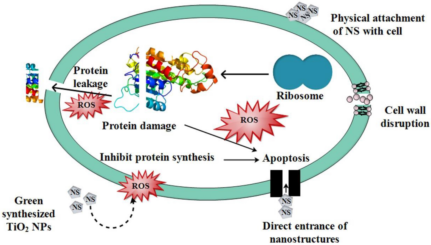 Figure 12
