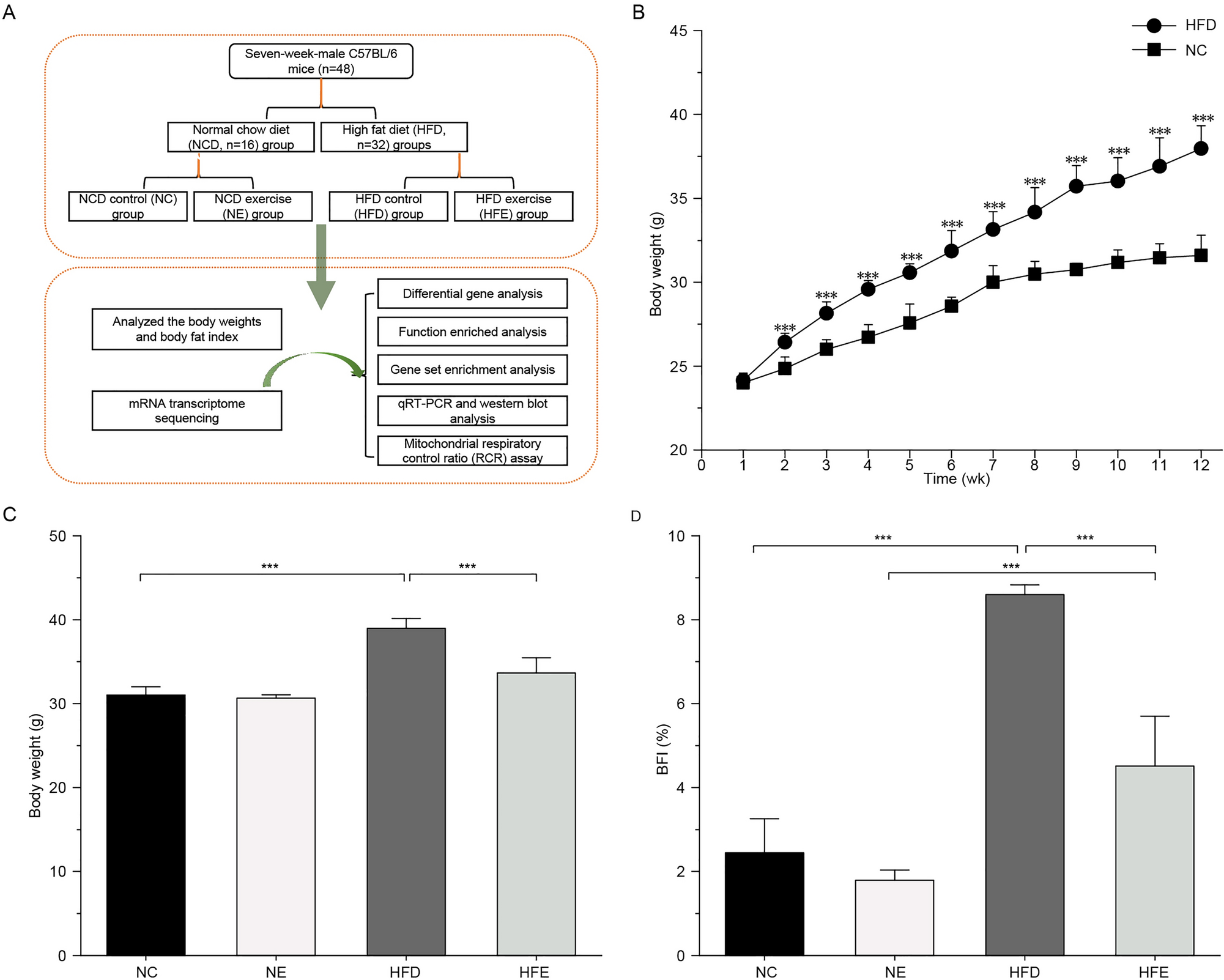 https://media.springernature.com/full/springer-static/image/art%3A10.1038%2Fs41598-023-46302-w/MediaObjects/41598_2023_46302_Fig1_HTML.png