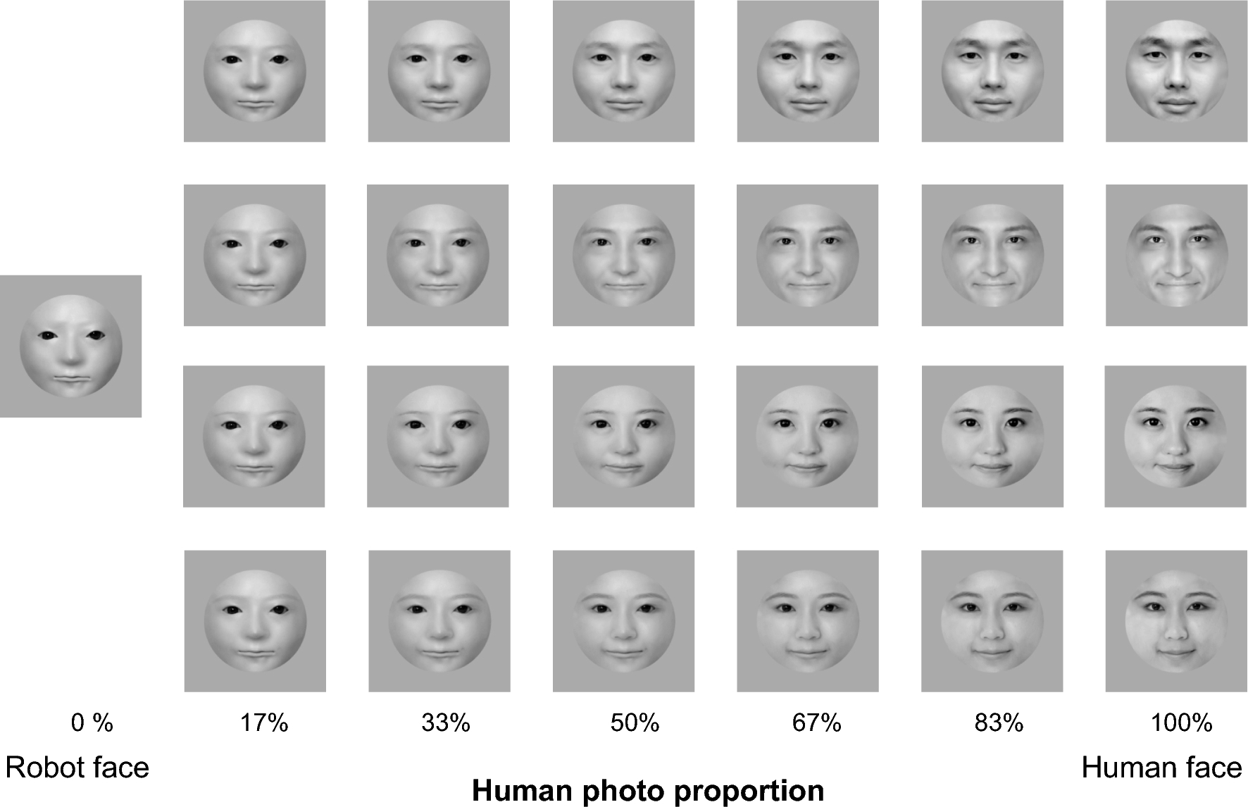 Robot occupations affect the categorization border between human and robot  faces | Scientific Reports