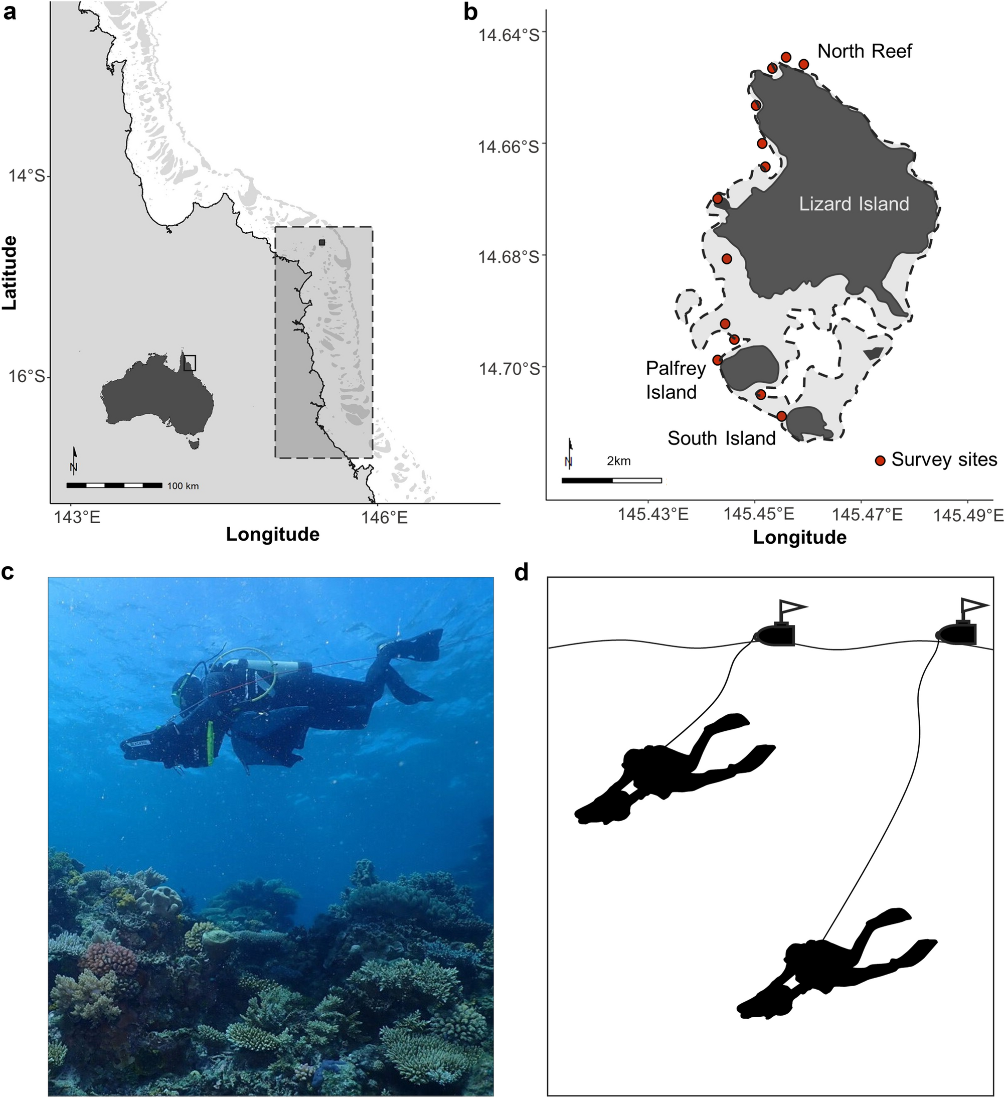 Increasing densities of Pacific crown-of-thorns starfish (Acanthaster cf.  solaris) at Lizard Island, northern Great Barrier Reef, resolved using a  novel survey method | Scientific Reports