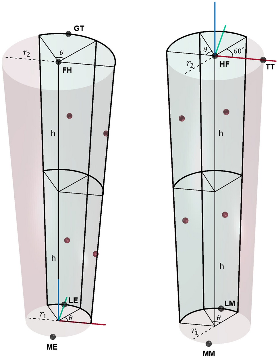 Robust estimation of vertical symmetry axis models via joint