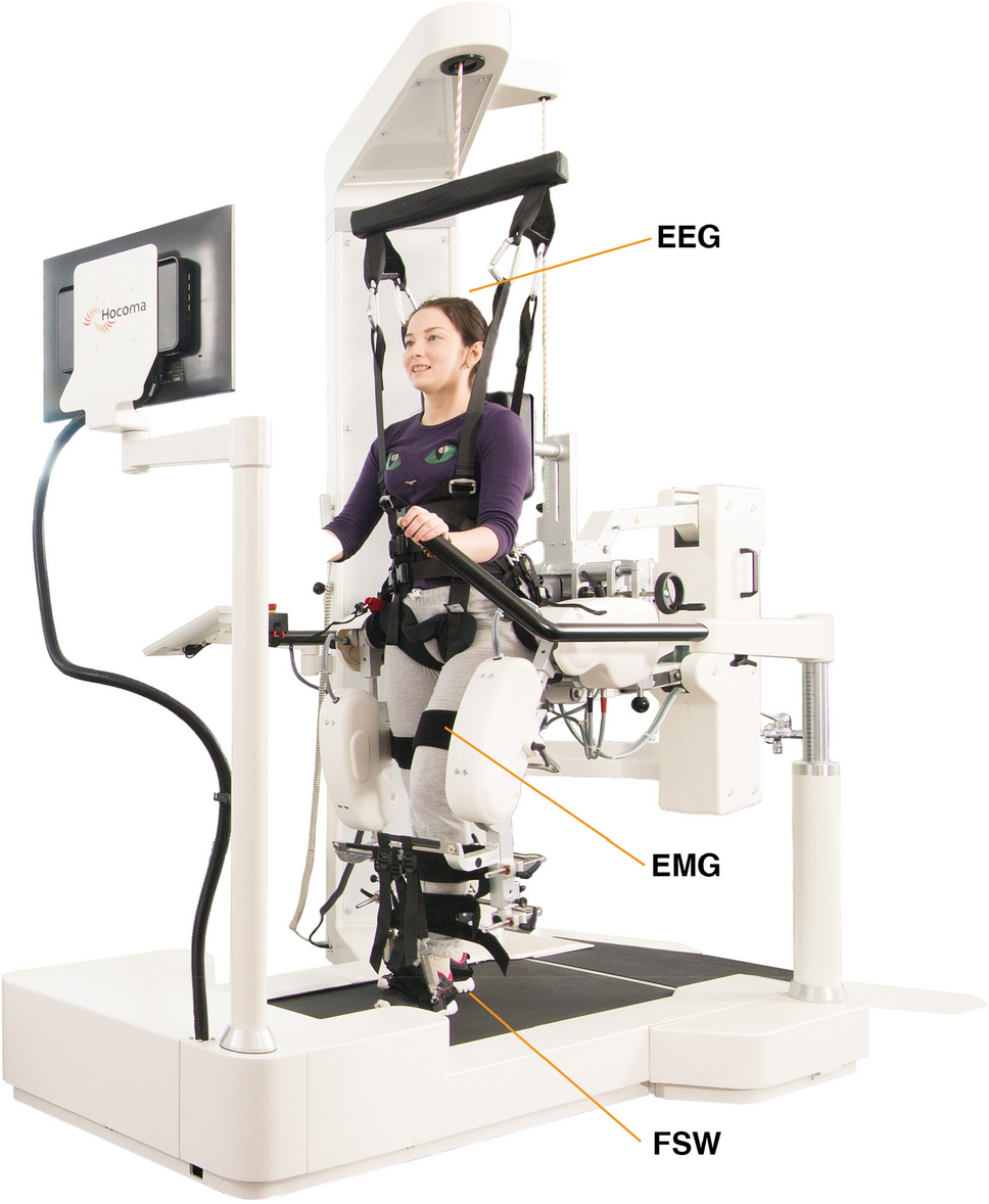 | Reports Scientific and active by modulated Lokomat-assisted Gait is connectivity Cortico-muscular passive