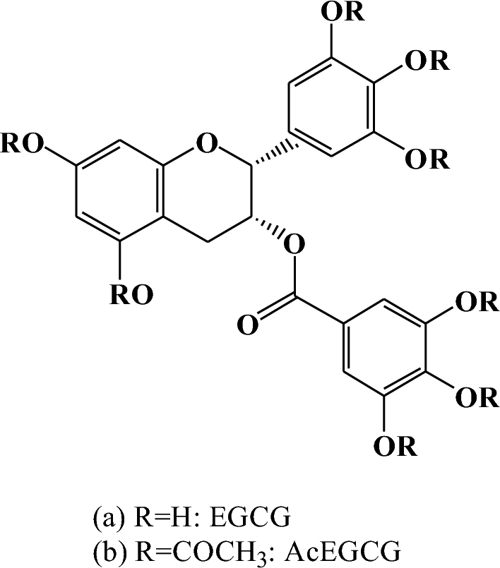 l-carnitine and berberine Berberine Phytosome™