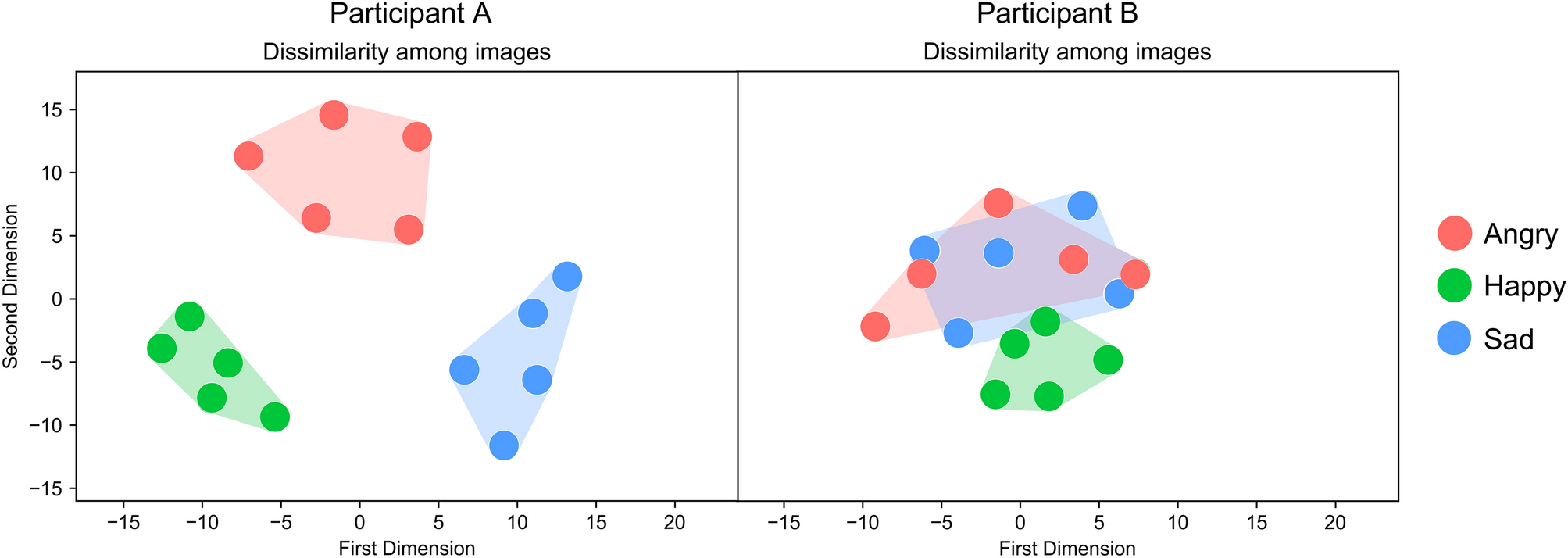 Dynamic texture description using adapted bipolar-invariant and