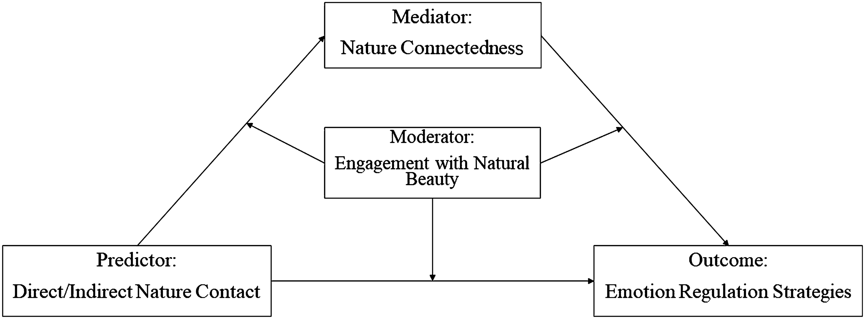 2015 Annual Report - The Pace of Nature, PDF, Walking