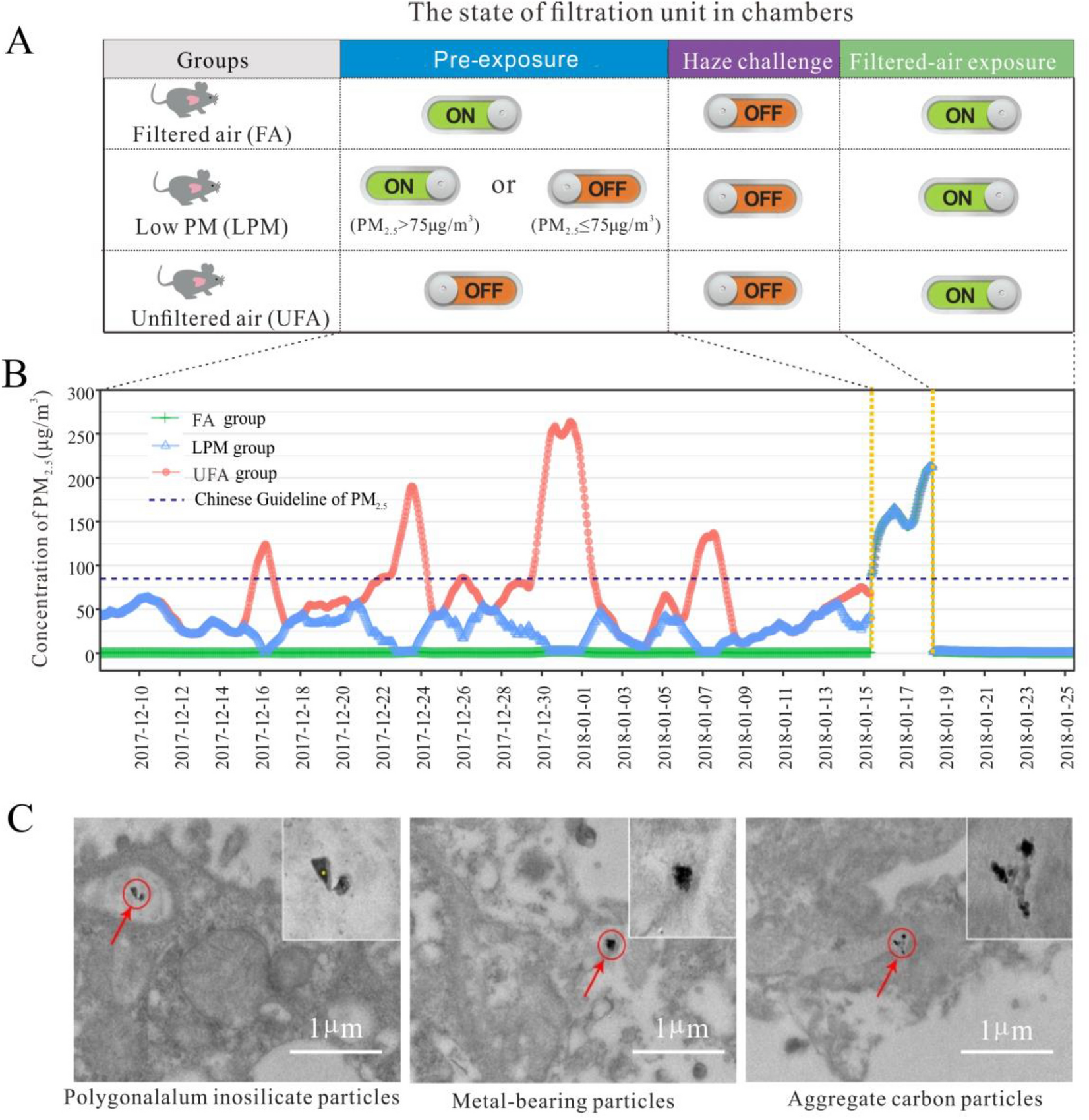 Inflammatory response in mouse lungs to haze episodes under different  backgrounds of particulate matter exposure | Scientific Reports