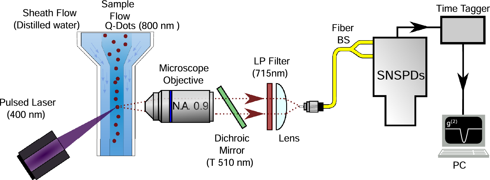 Quantum measurement enables single biomarker sensitivity in flow  