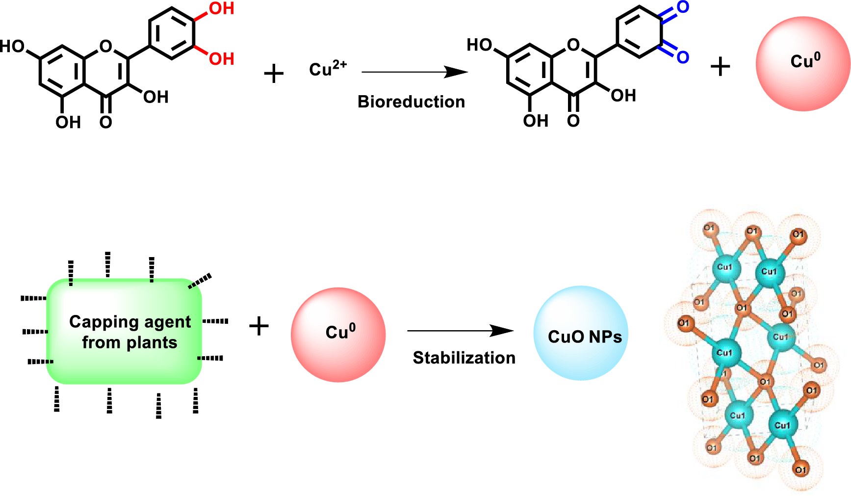 Mechanism 1