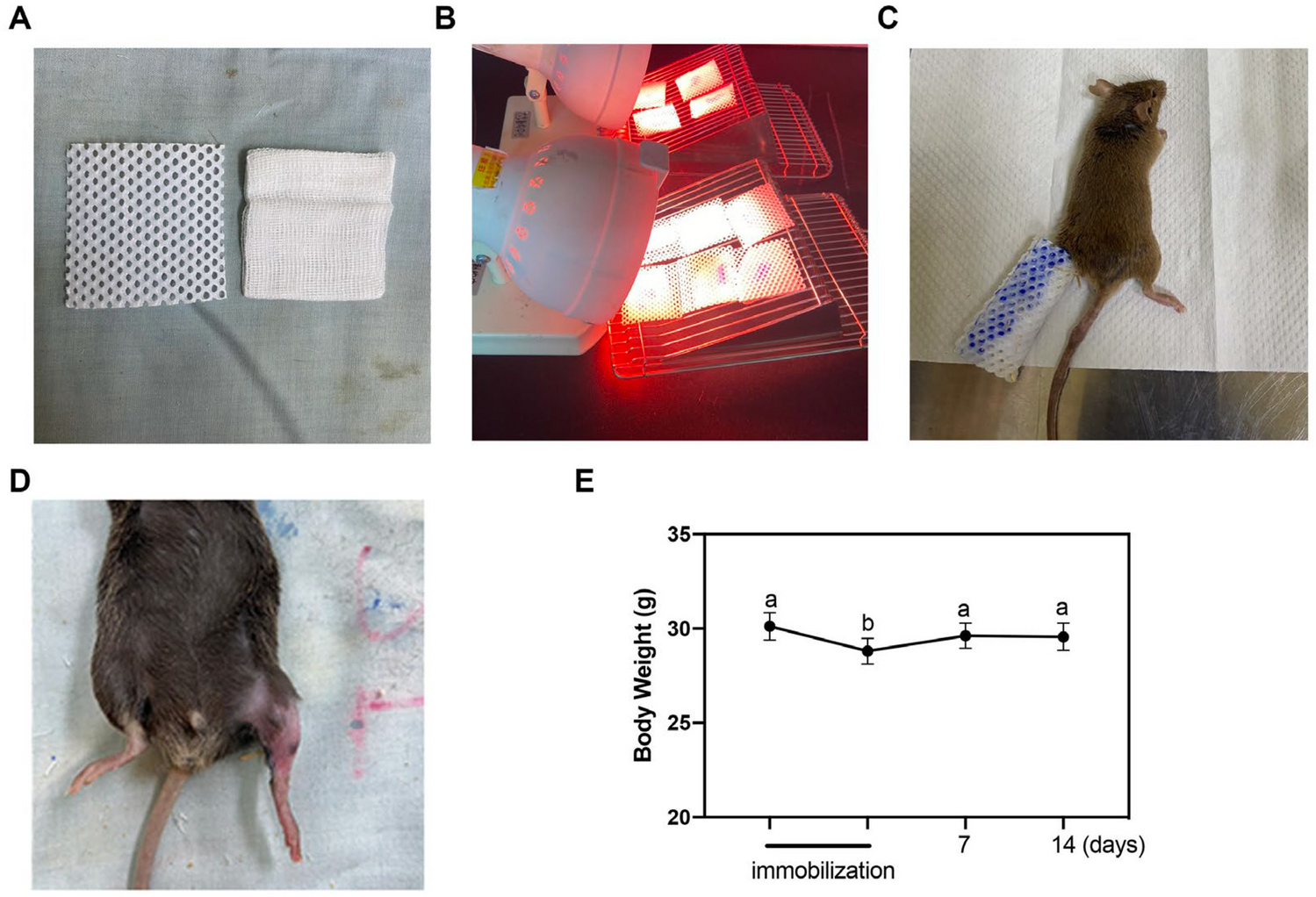 Fig 2 | PLOS One, image size:1499x1022