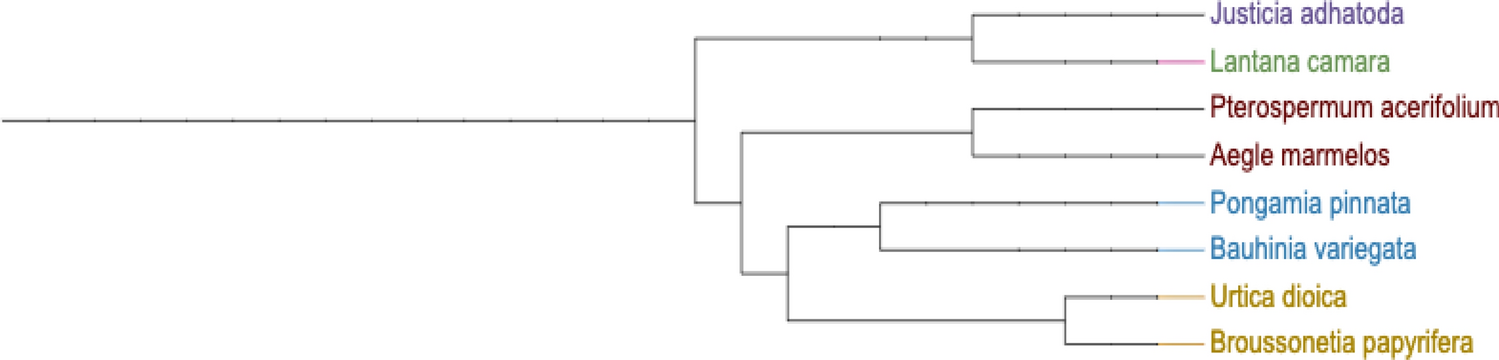 Figure 11