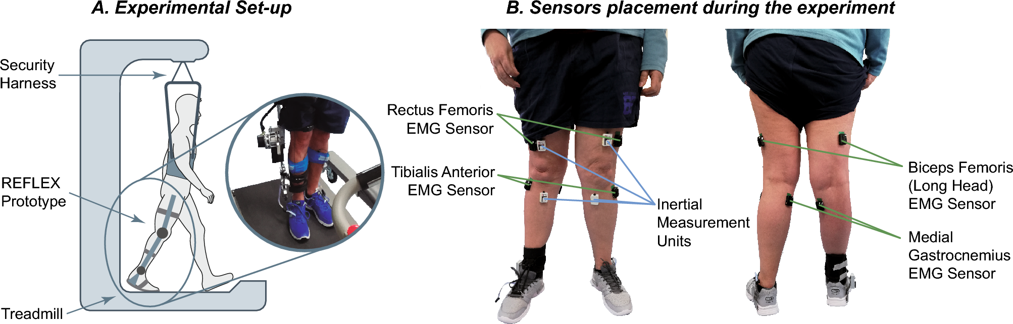 Robotic exoskeleton embodiment in post-stroke hemiparetic patients: an  experimental study about the integration of the assistance provided by the  REFLEX knee exoskeleton