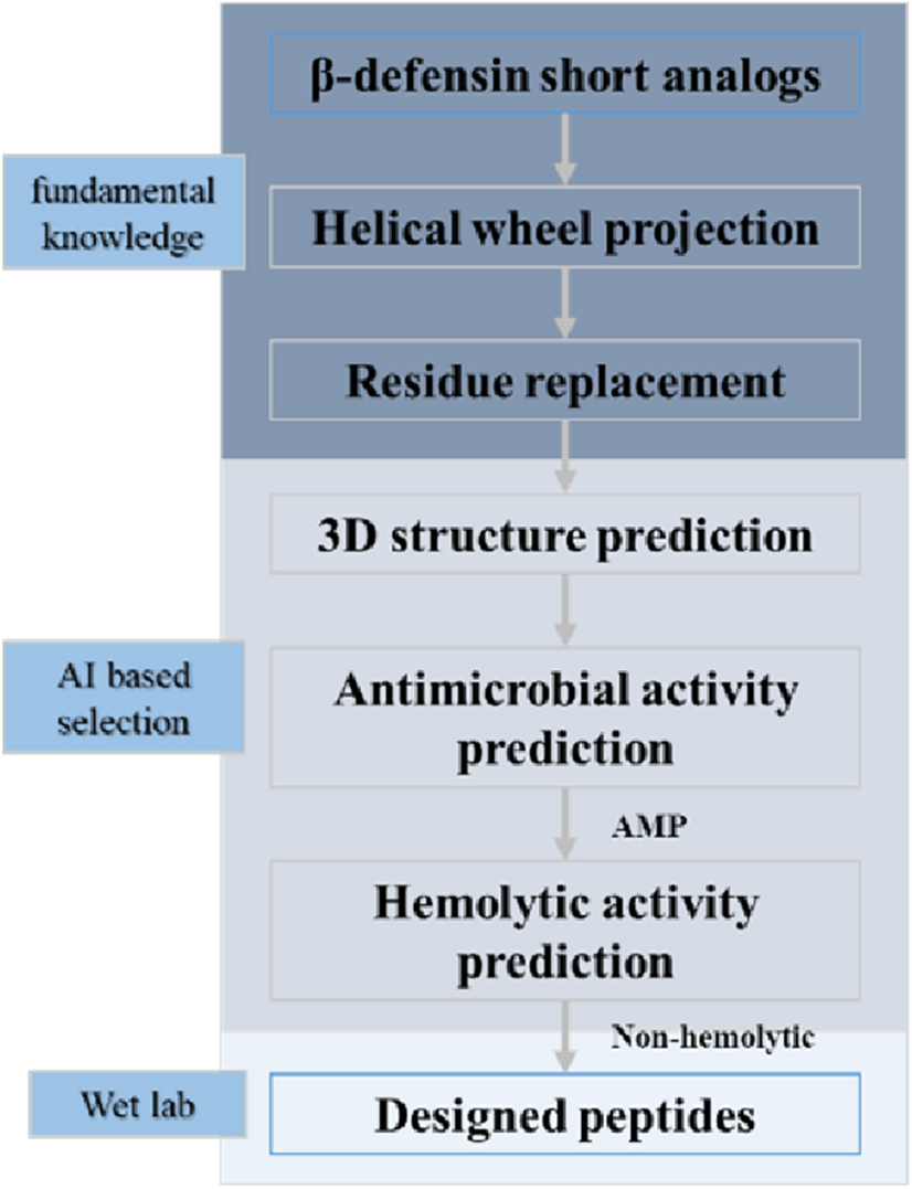 Machine learning assisted rational design of antimicrobial peptides based  on human endogenous proteins and their applications for cosmetic  preservative system optimization | Scientific Reports