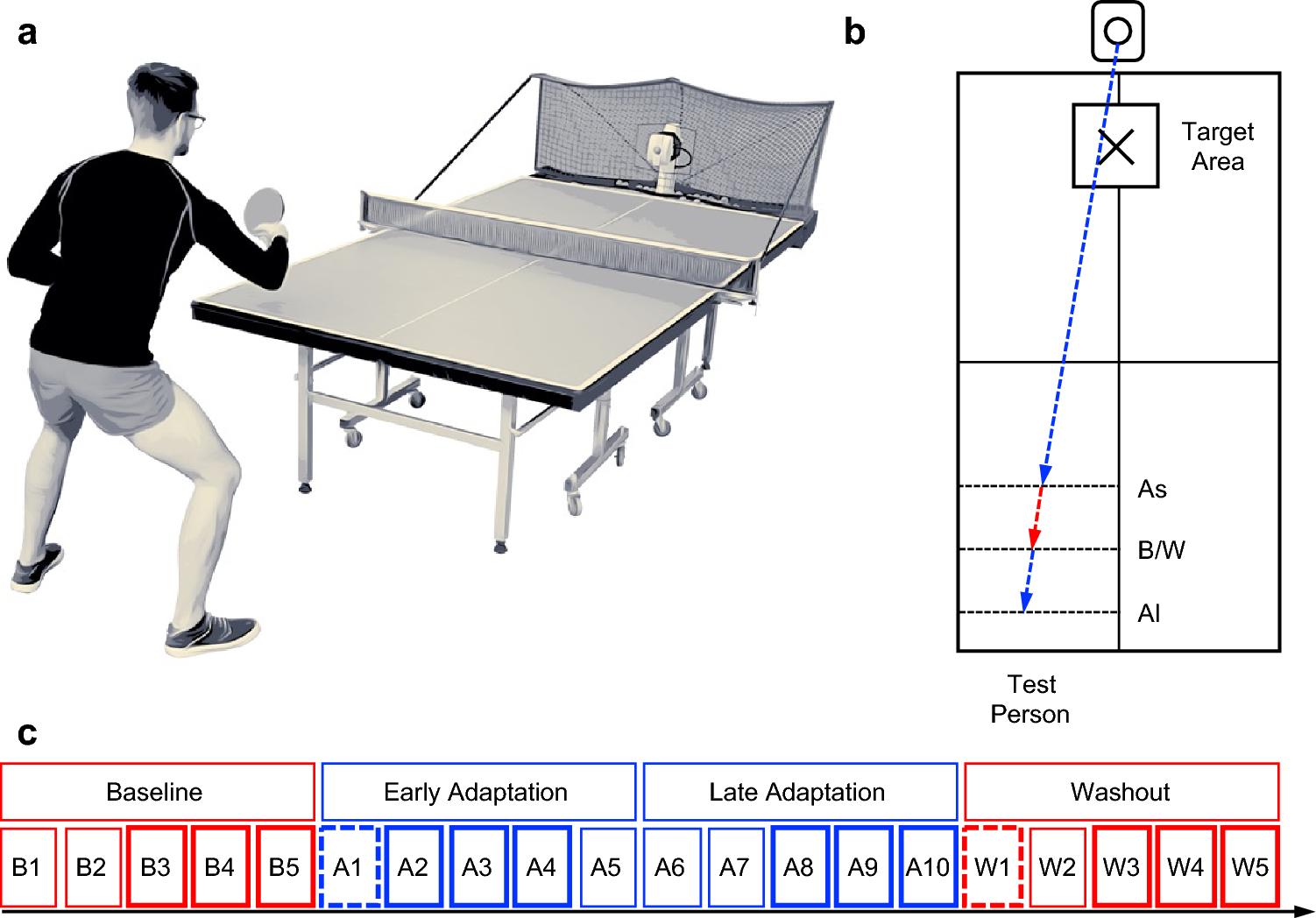 Quantifying motor adaptation in a sport-specific table tennis setting |  Scientific Reports