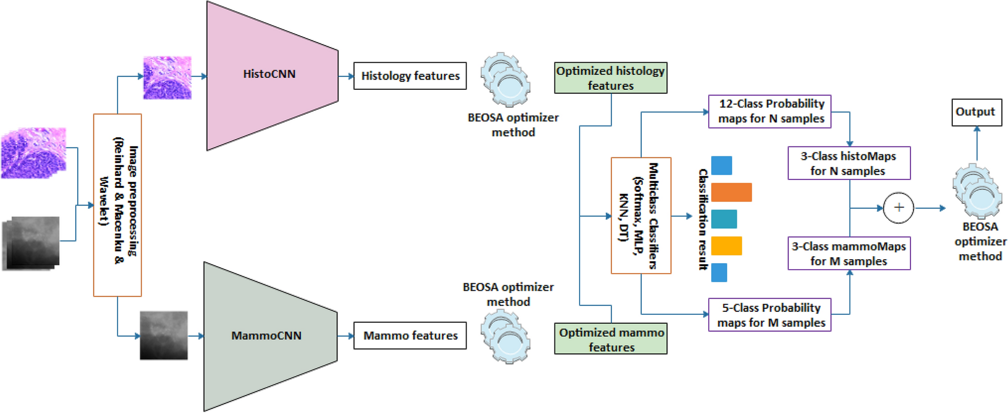 File:Normal breast histology.png - Wikipedia