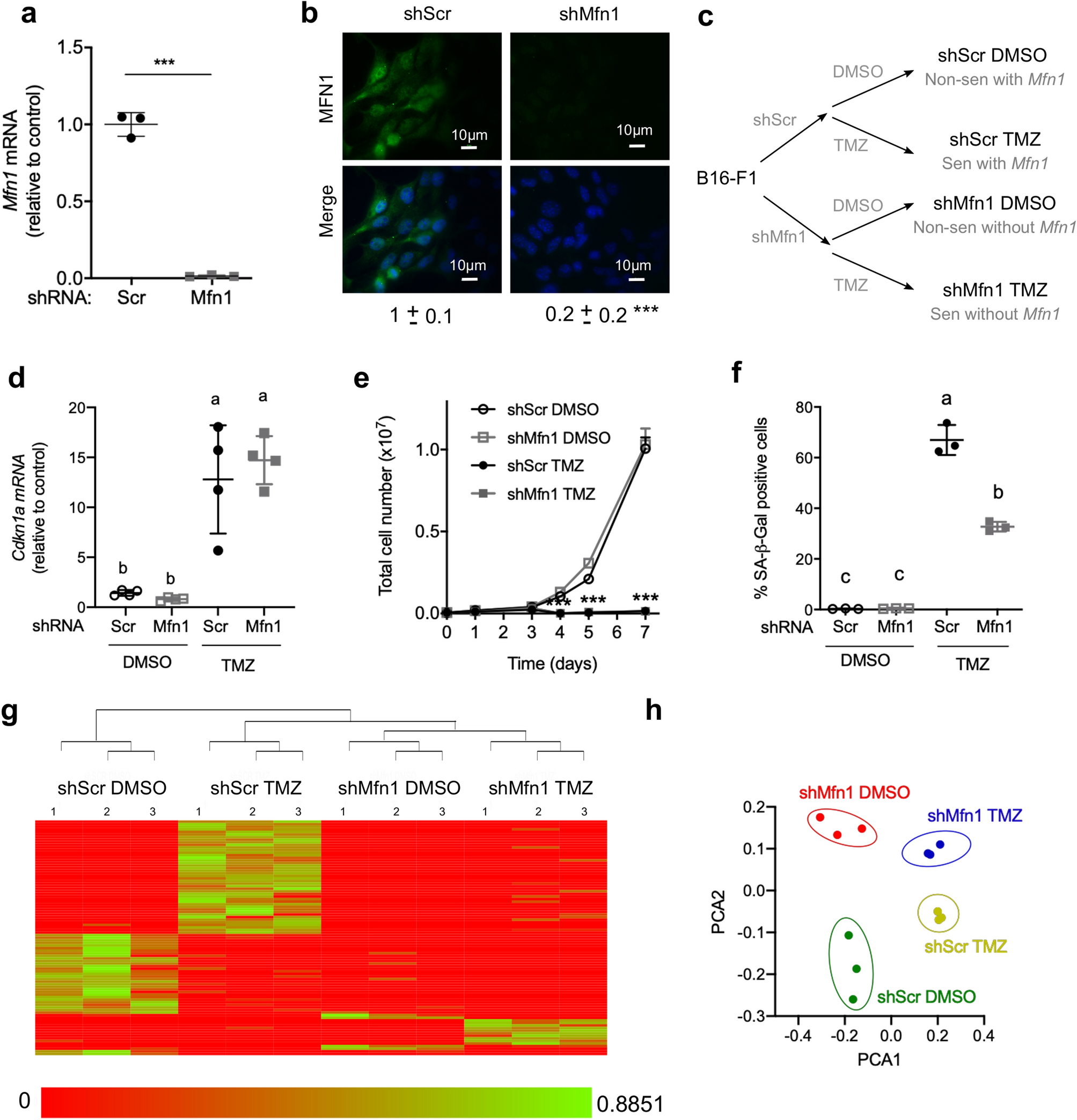 Alejandro hernandez rodriguez twitter