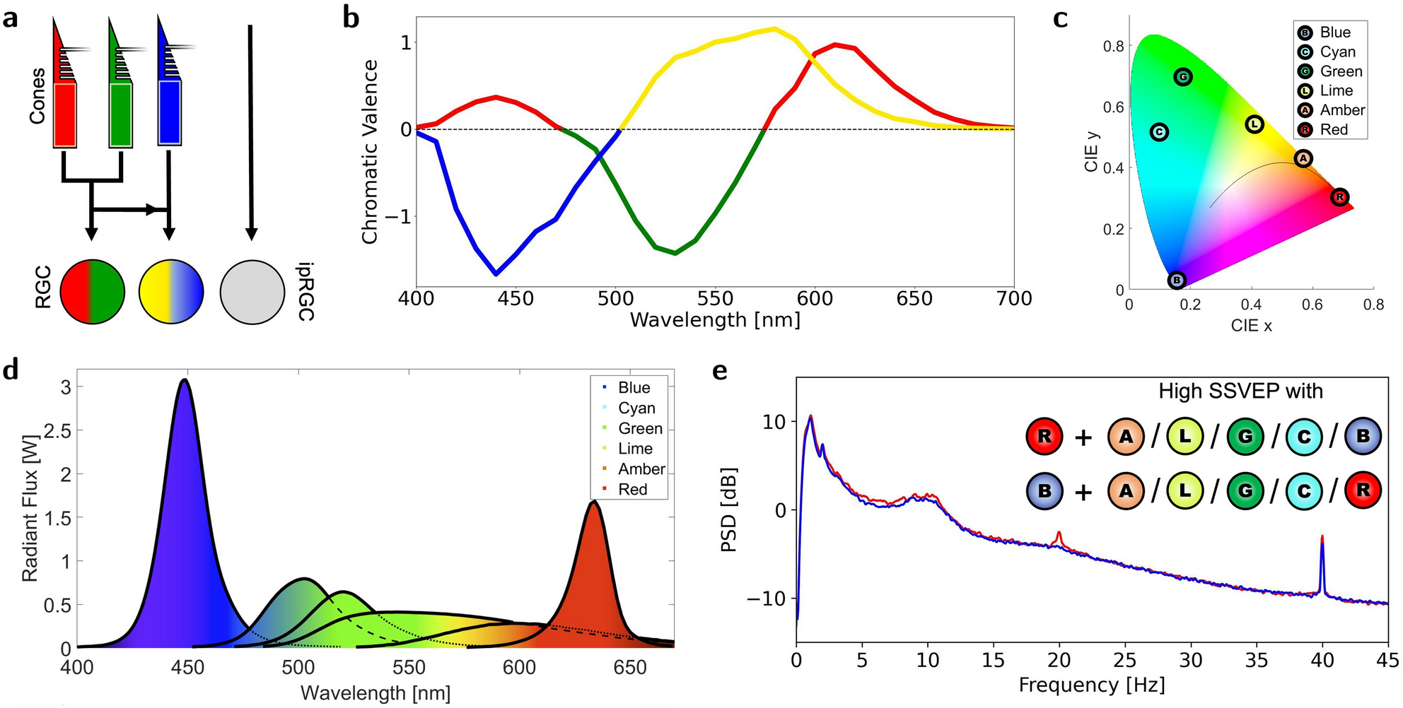 40Hz Gamma Light Therapy results