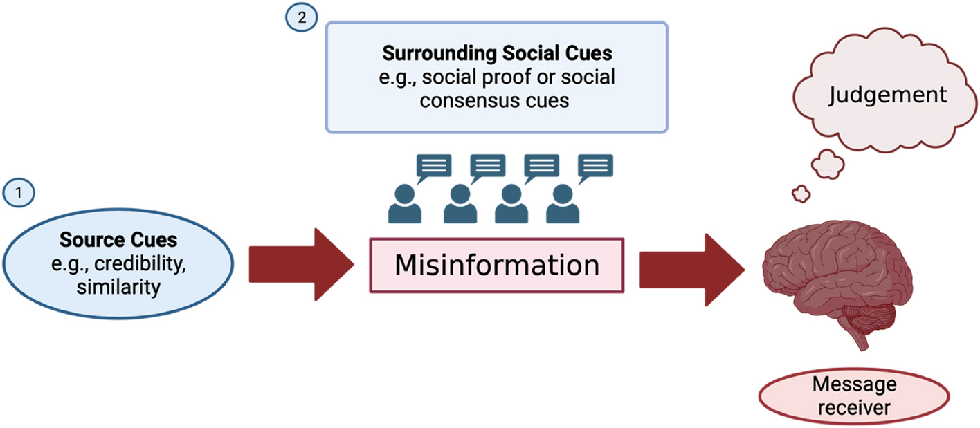 Challenges of Credibility and Fact-Checking in Local News Sources