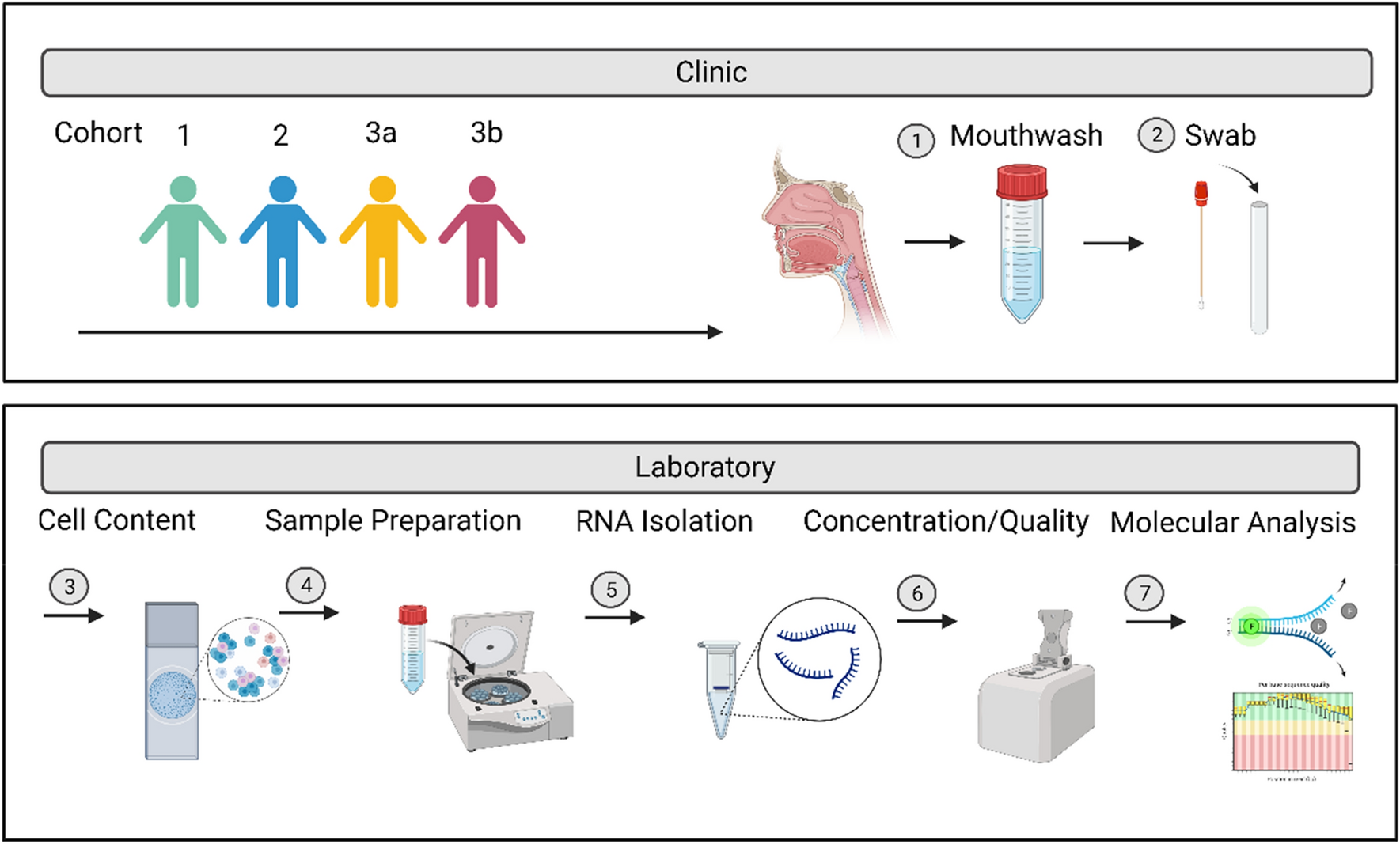 Characterization of non-invasive oropharyngeal samples and nucleic 